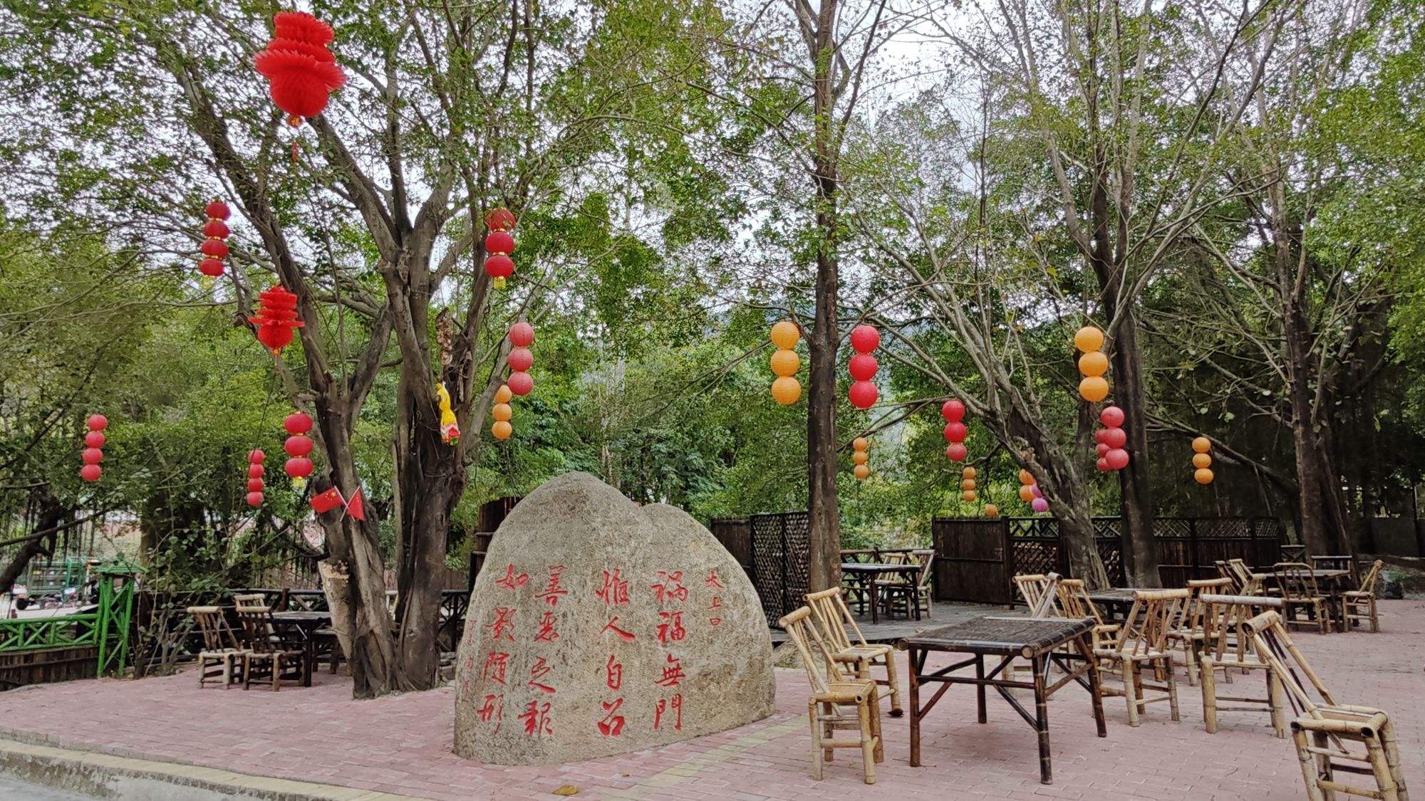 黄河宝树园旅行图片 1