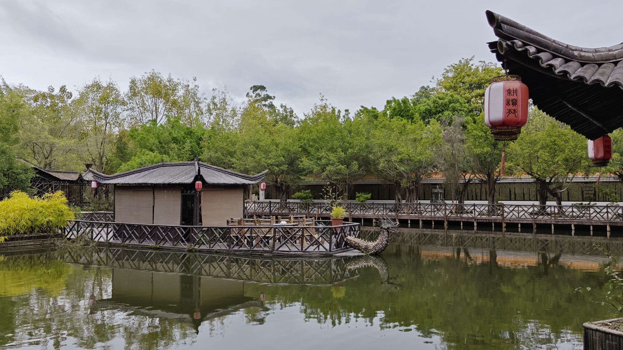 黄河宝树园旅行图片 3