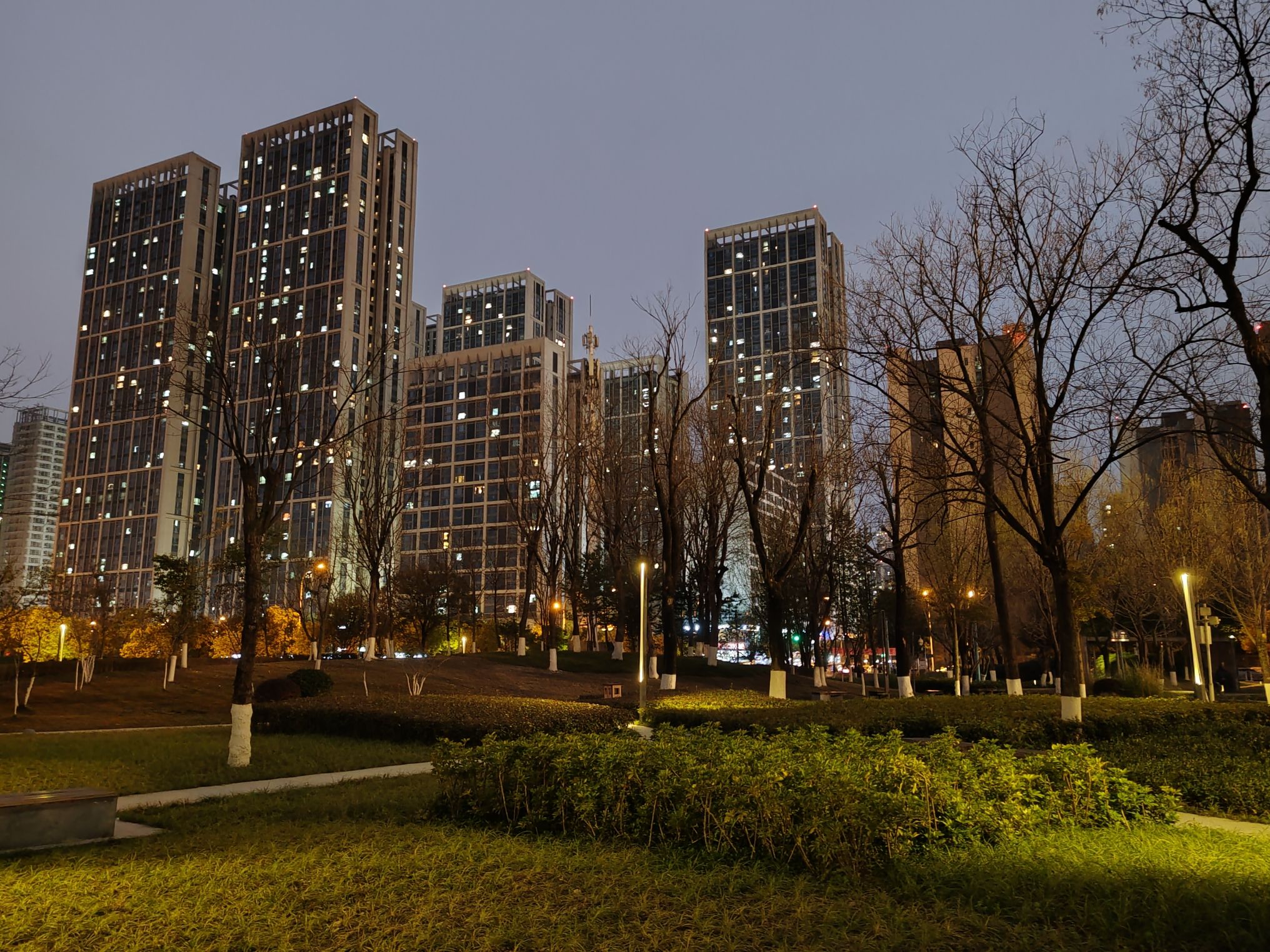 新怡公园旅行图片 2