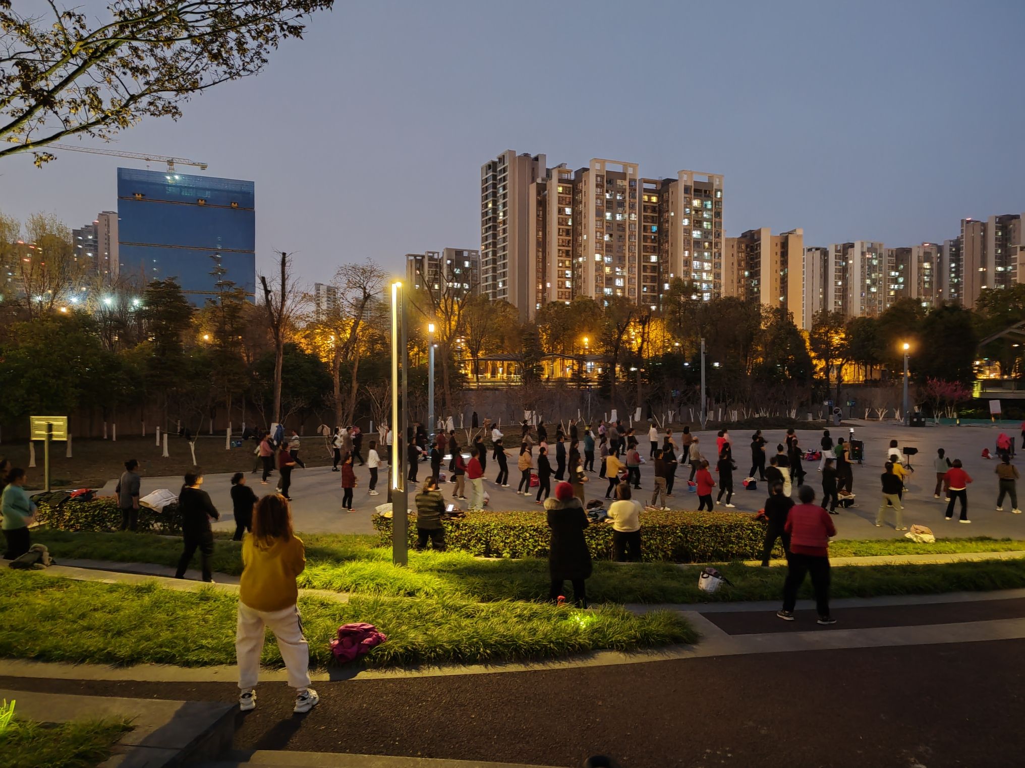 新怡公园旅行图片 1
