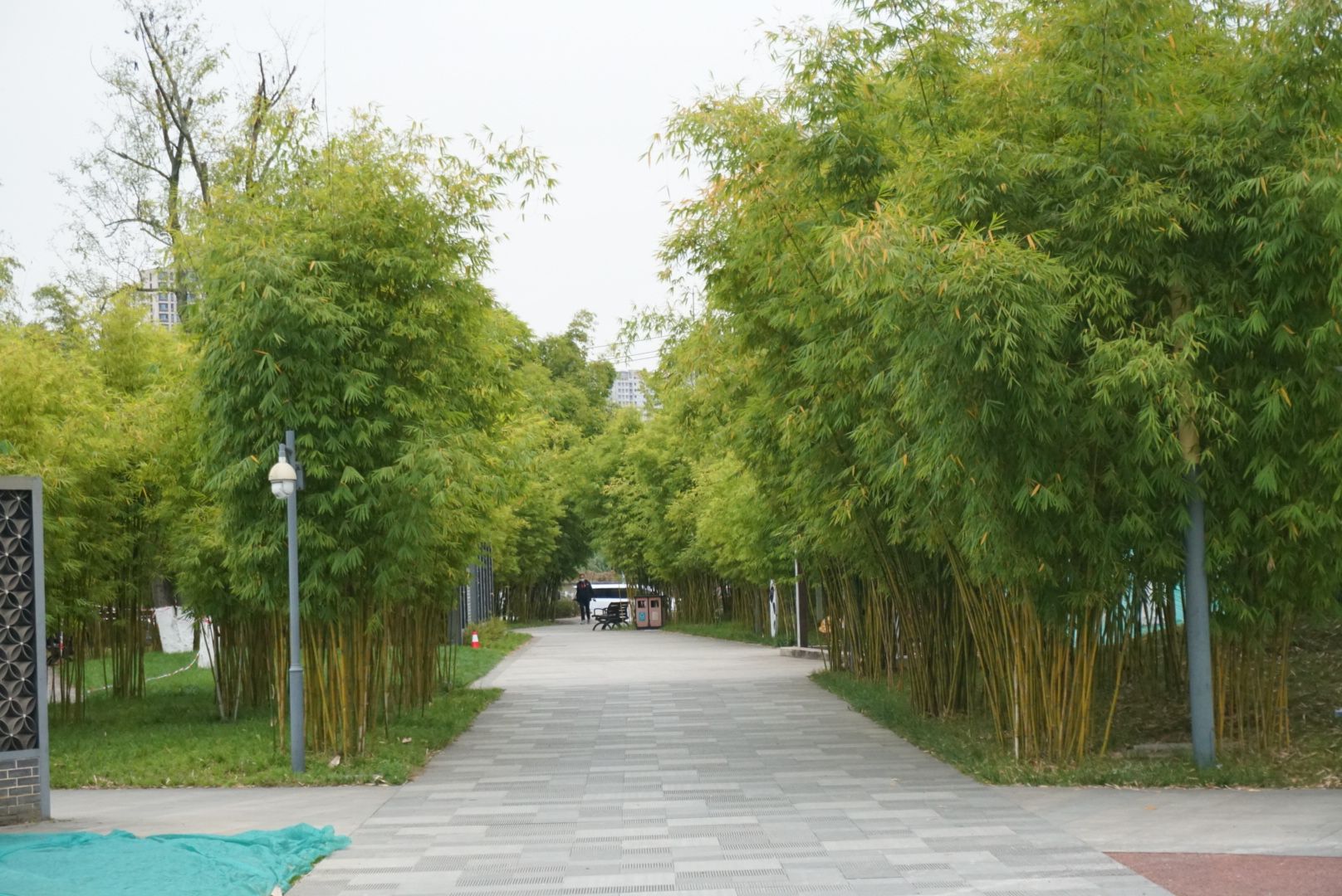 新怡公园旅行图片 2
