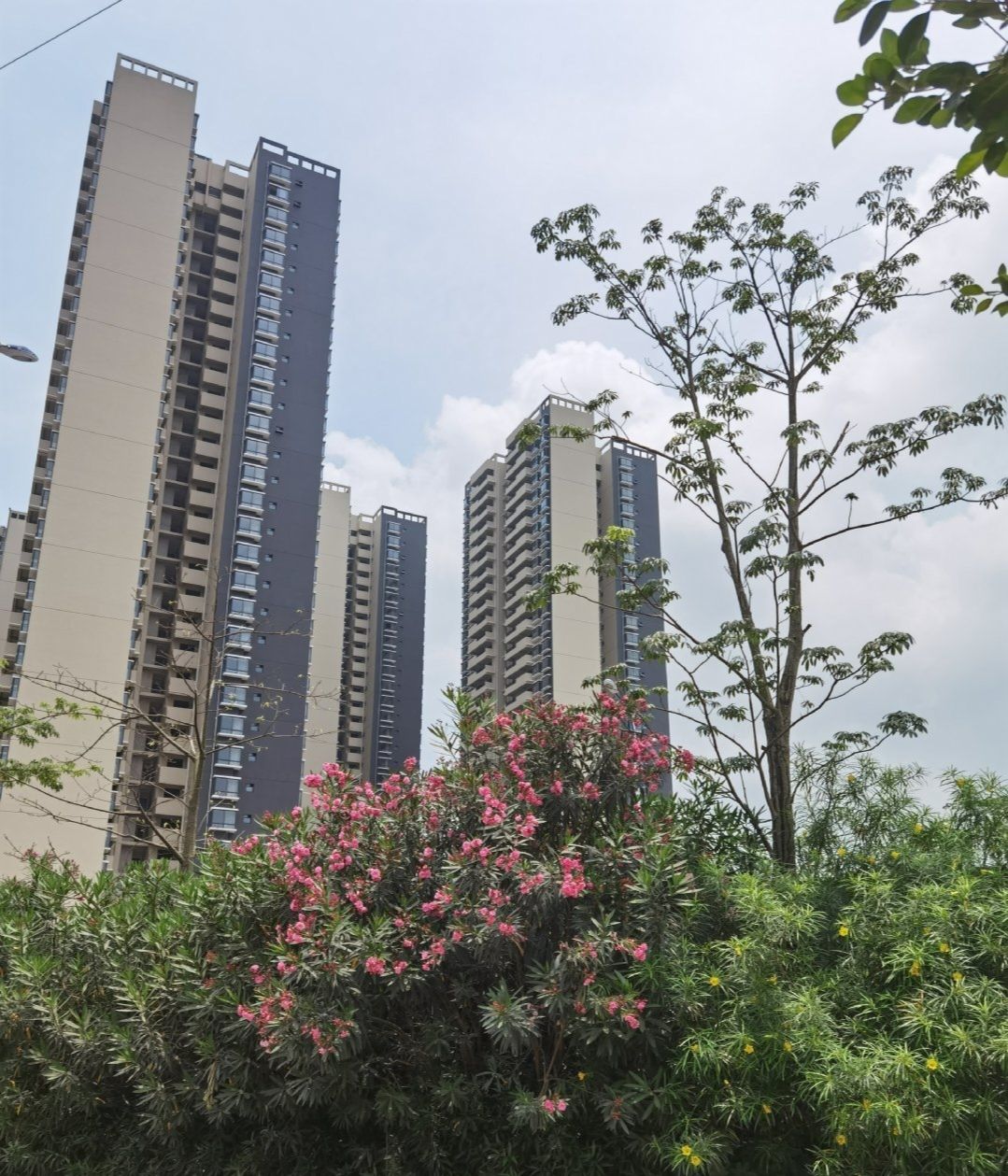 玉林市江滨公园旅行图片 2