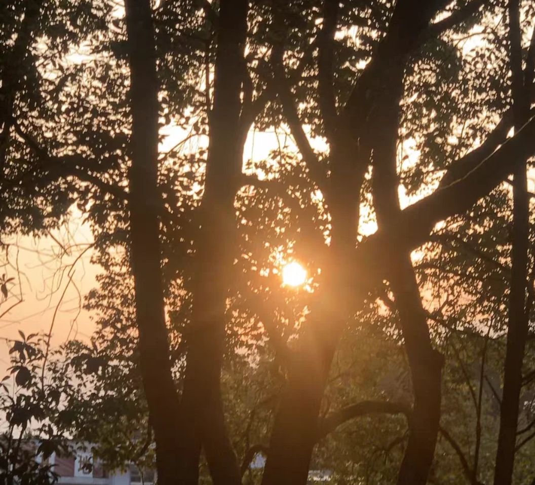 玉林市江滨公园旅行图片 1