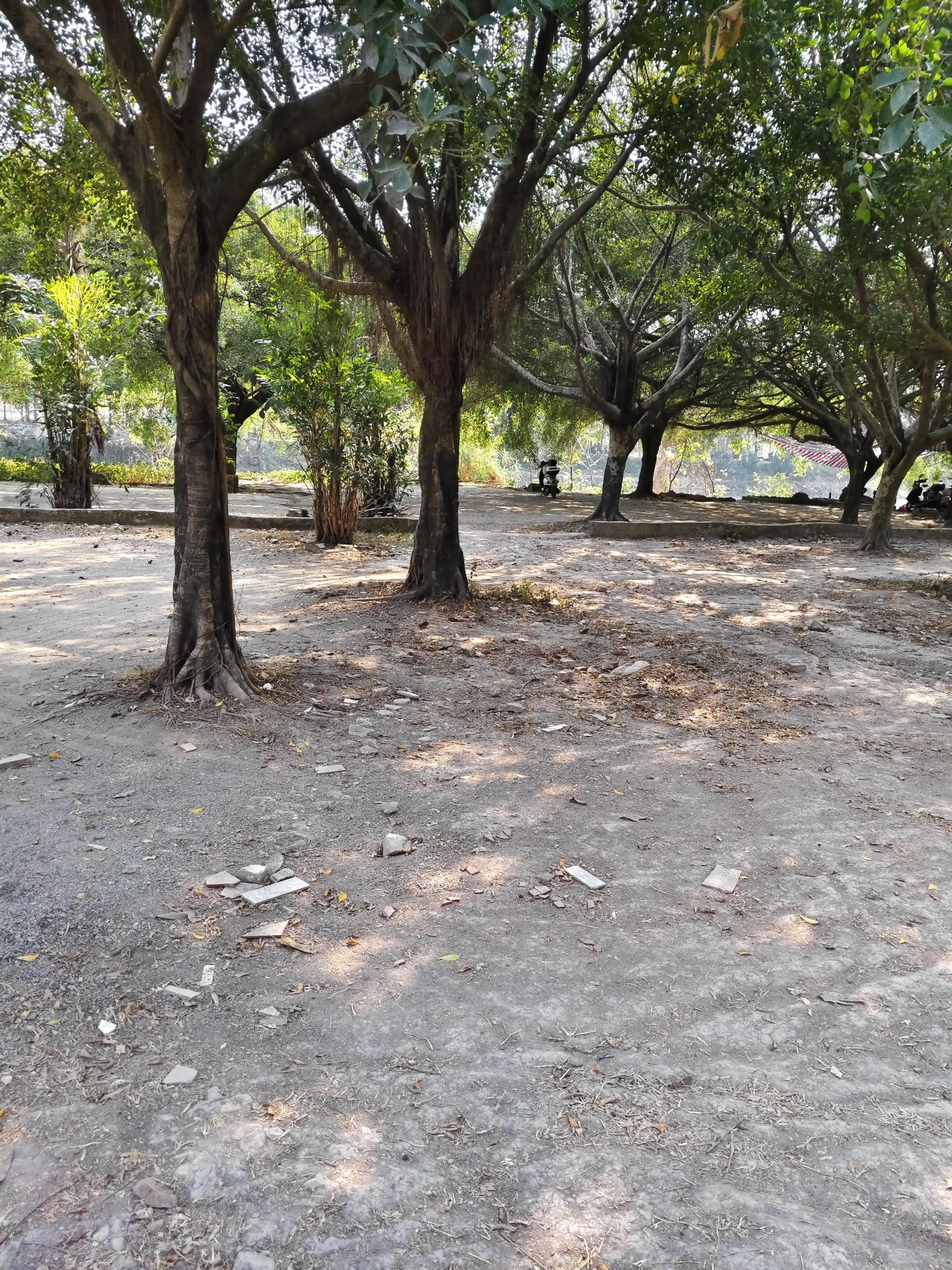 玉林市江滨公园旅行图片 1