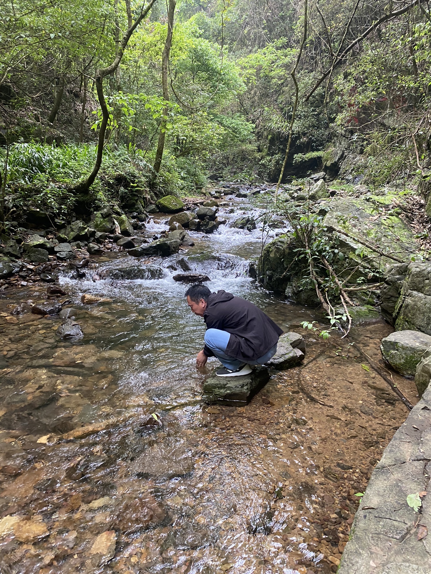 阳明山国家森林公园旅行图片 2