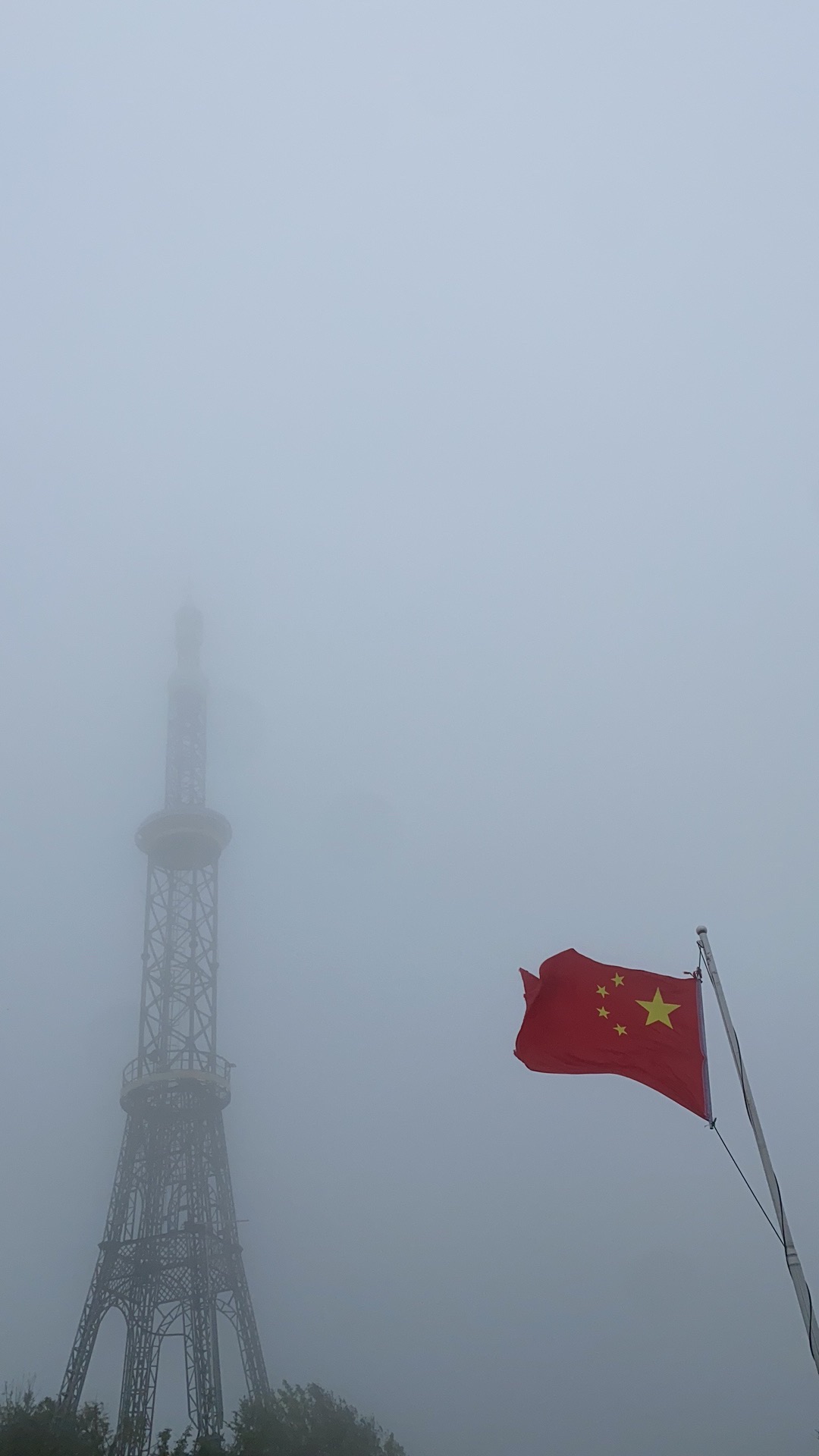 阳明山国家森林公园旅行图片 3