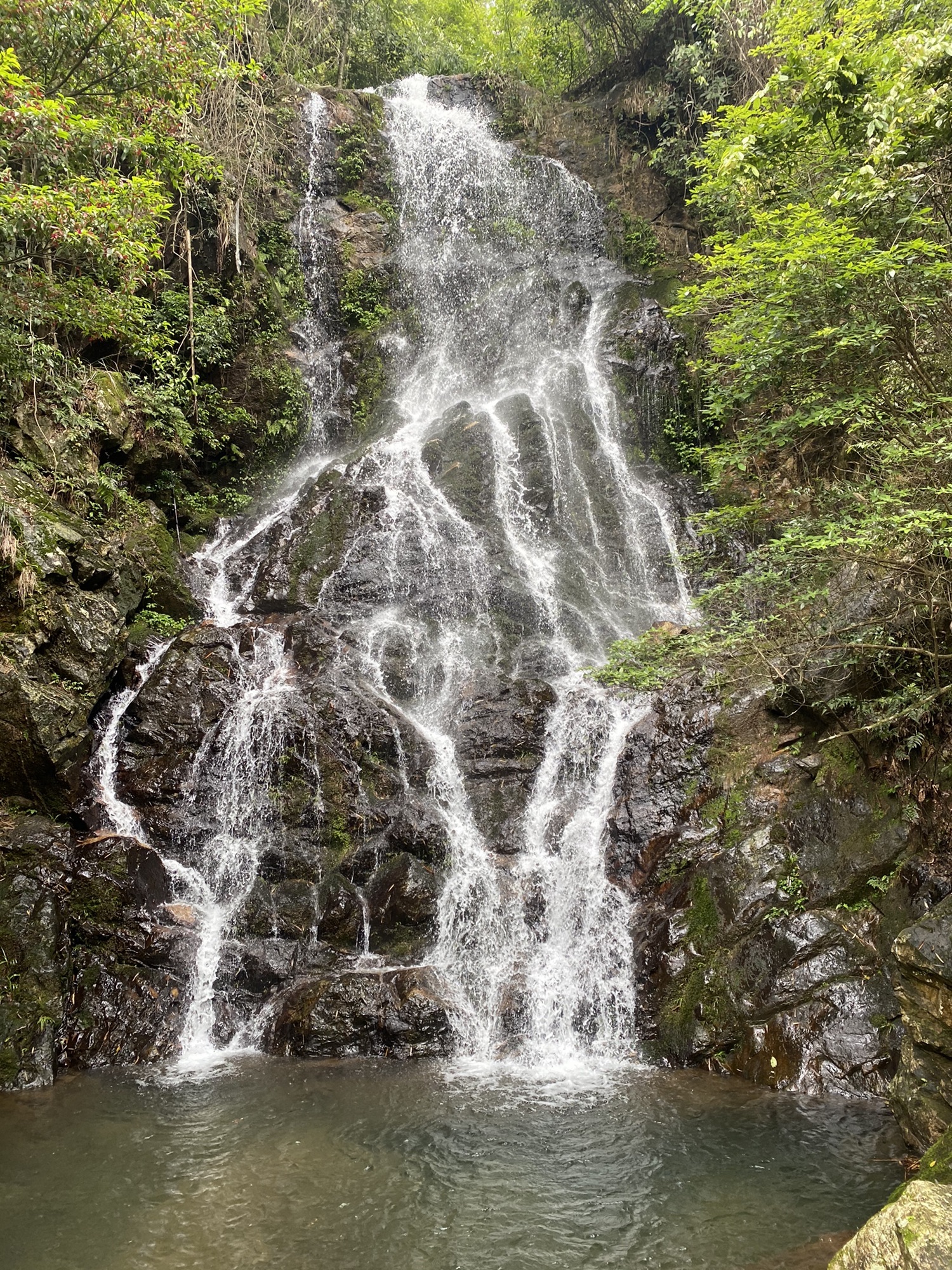 阳明山国家森林公园旅行图片 1