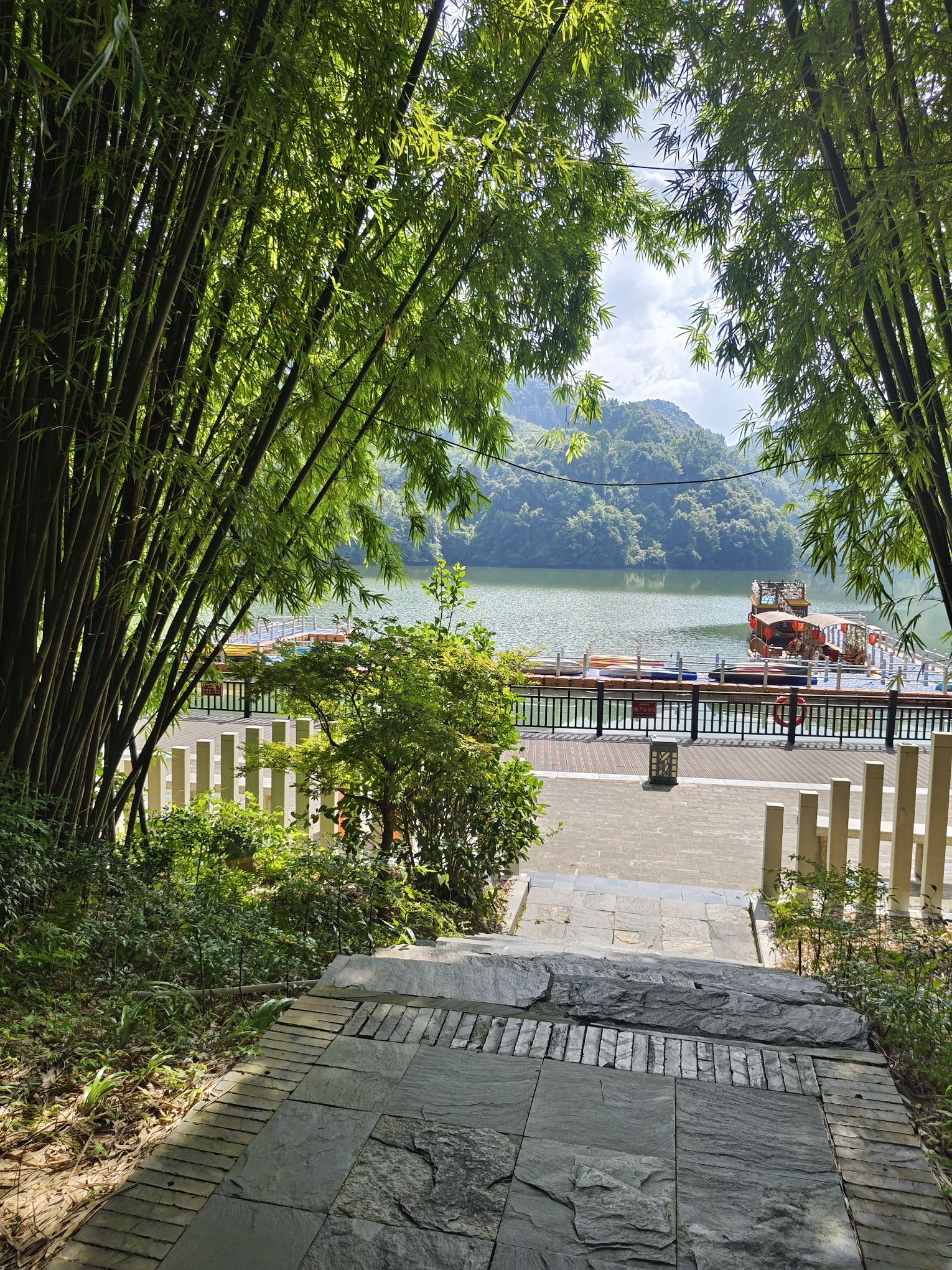 阳明山国家森林公园旅行图片 1