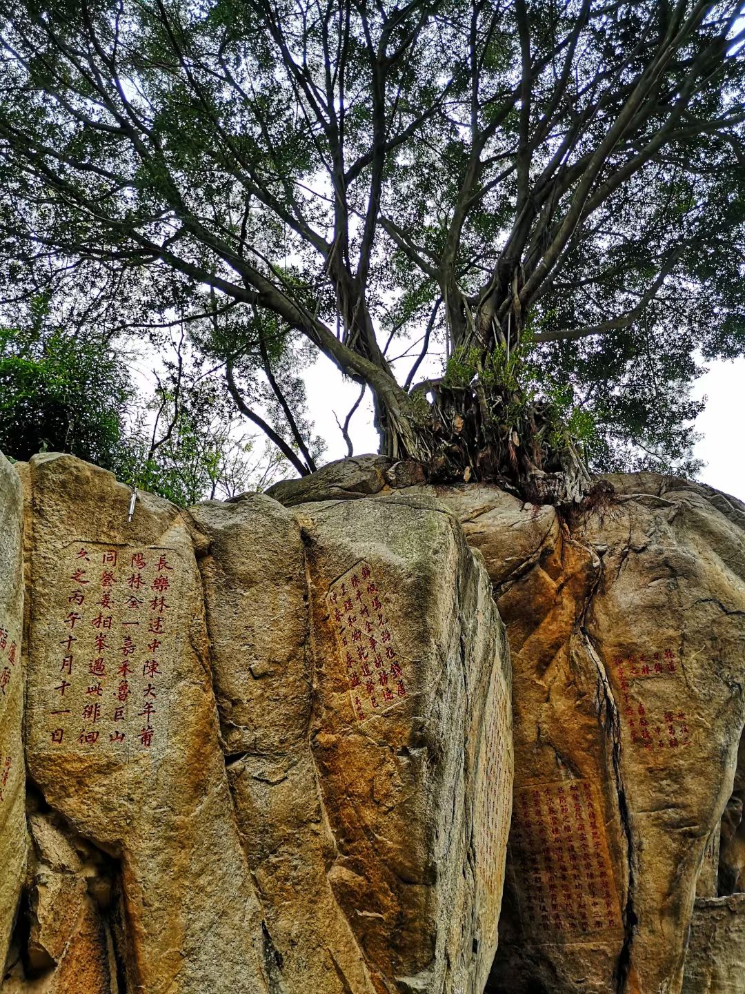 九日山祈风石刻旅行图片 3