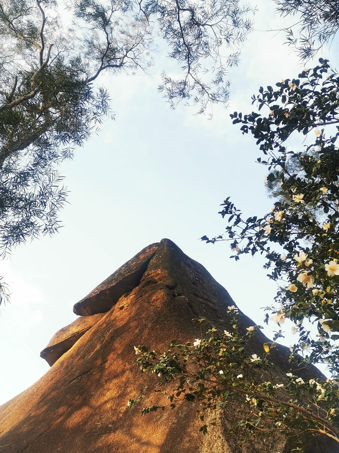九日山祈风石刻旅行图片 3