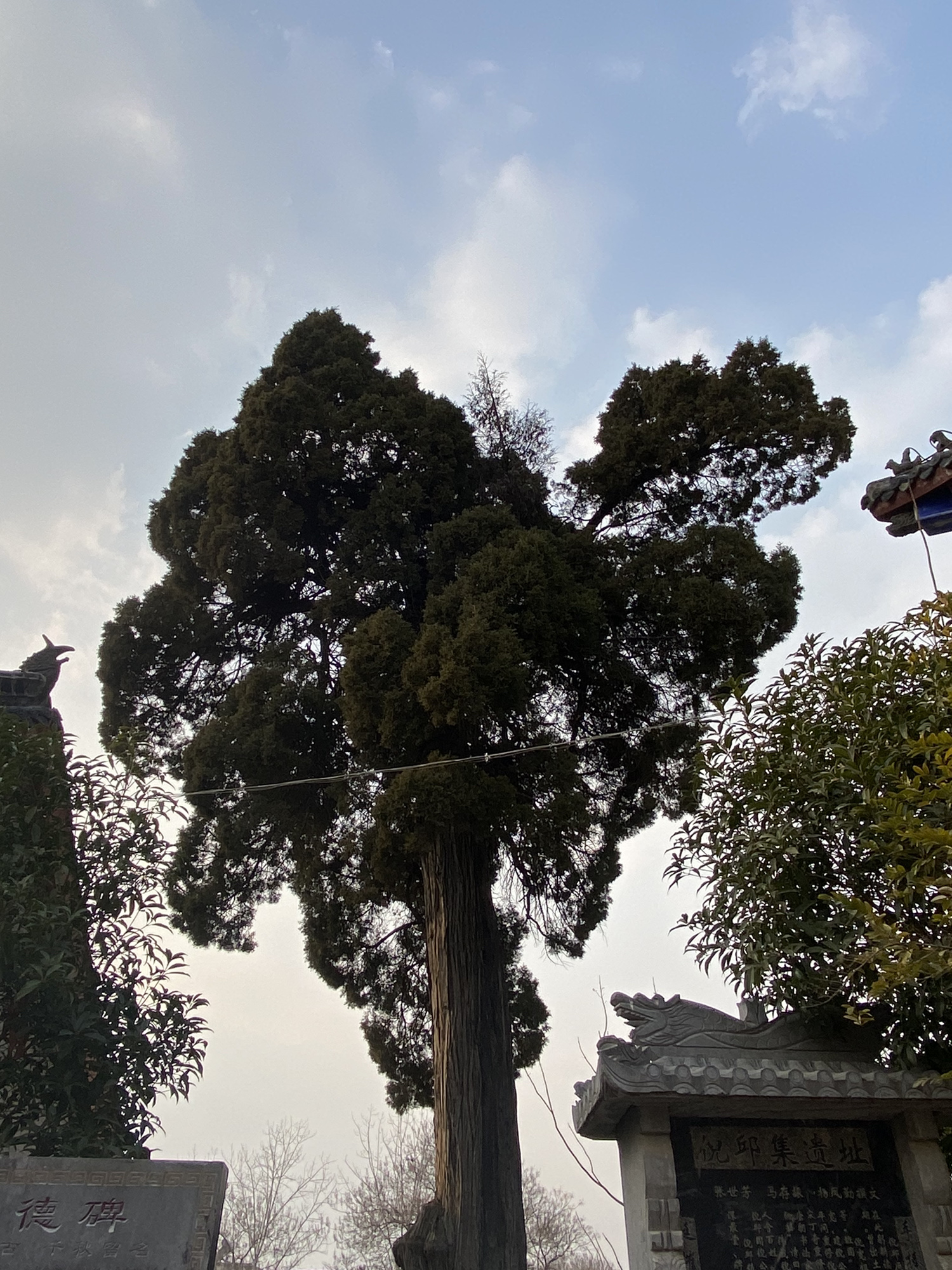 倪宽公园旅行图片 2