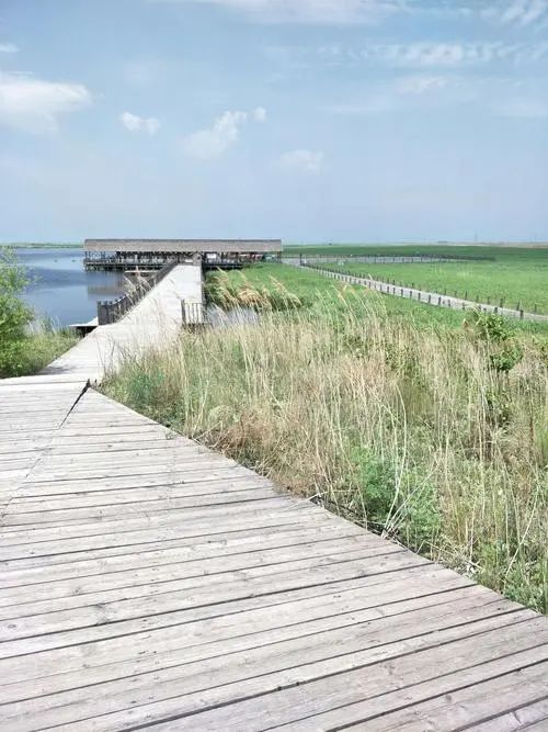 龙安桥国家湿地公园旅行图片 2