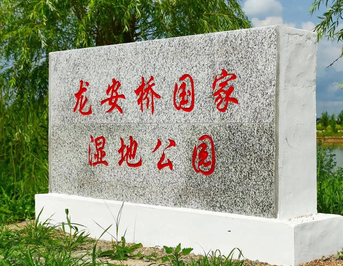 龙安桥国家湿地公园旅行图片 1