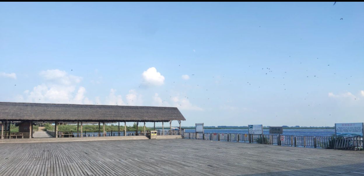 龙安桥国家湿地公园旅行图片 1