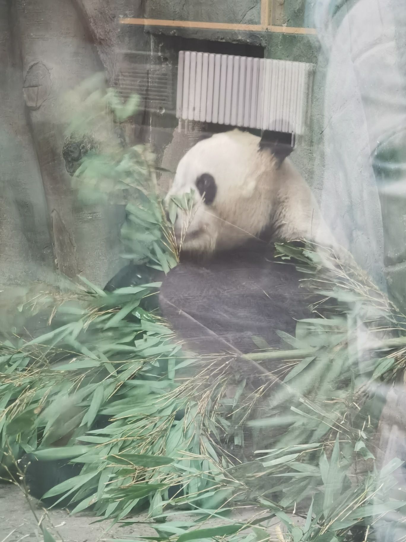 沧州动物园旅行图片 1