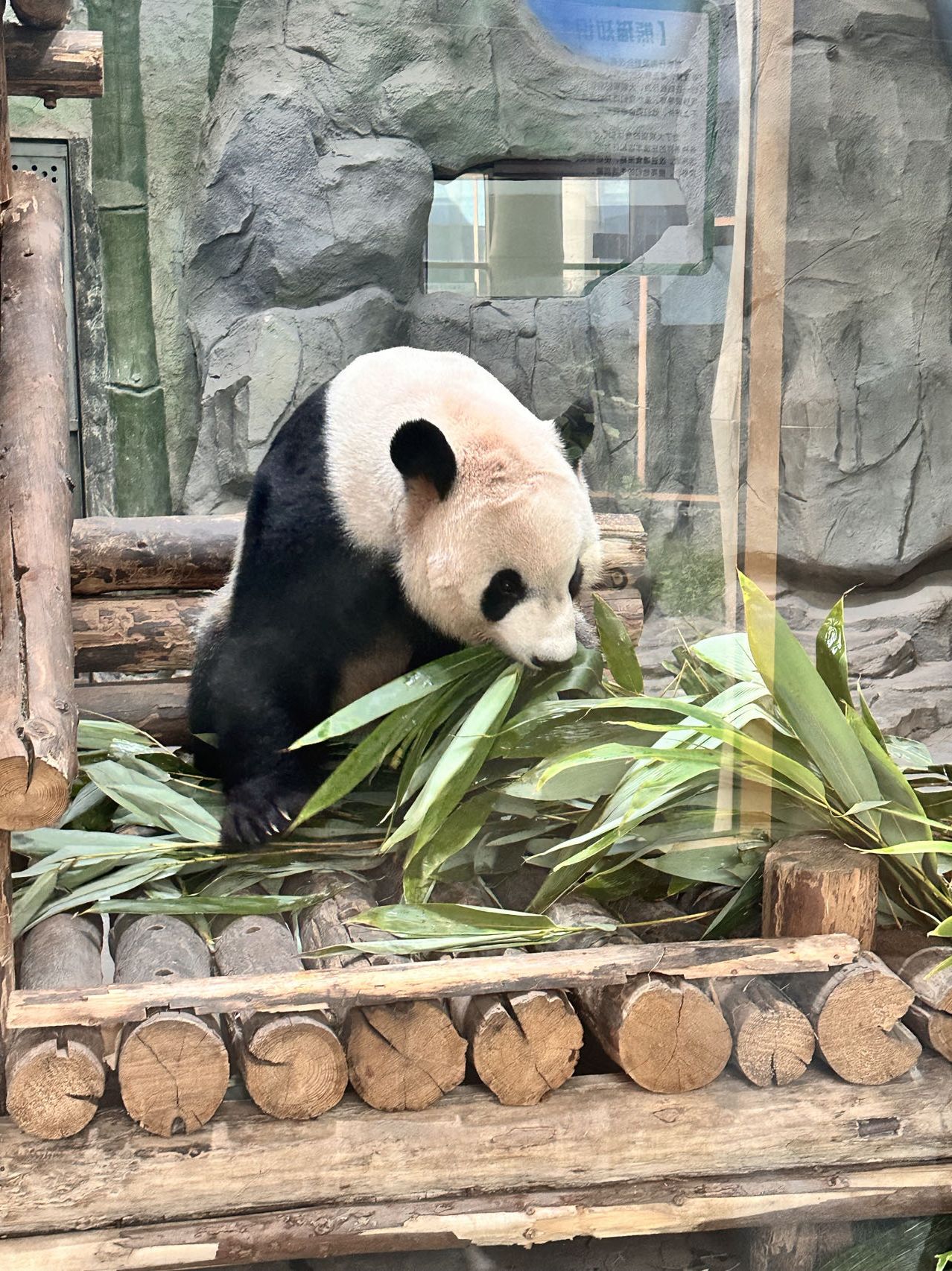 沧州动物园旅行图片 3