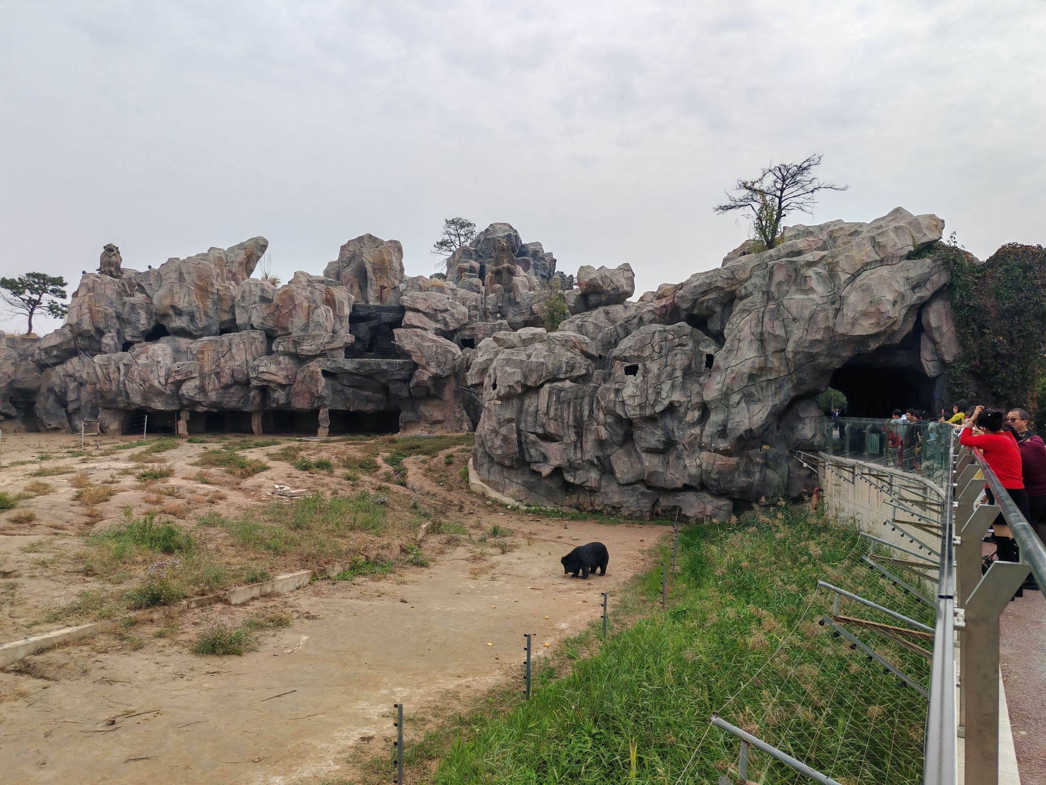 沧州动物园旅行图片 1