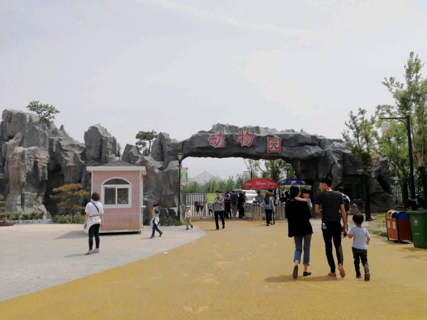 沧州动物园旅行图片 1