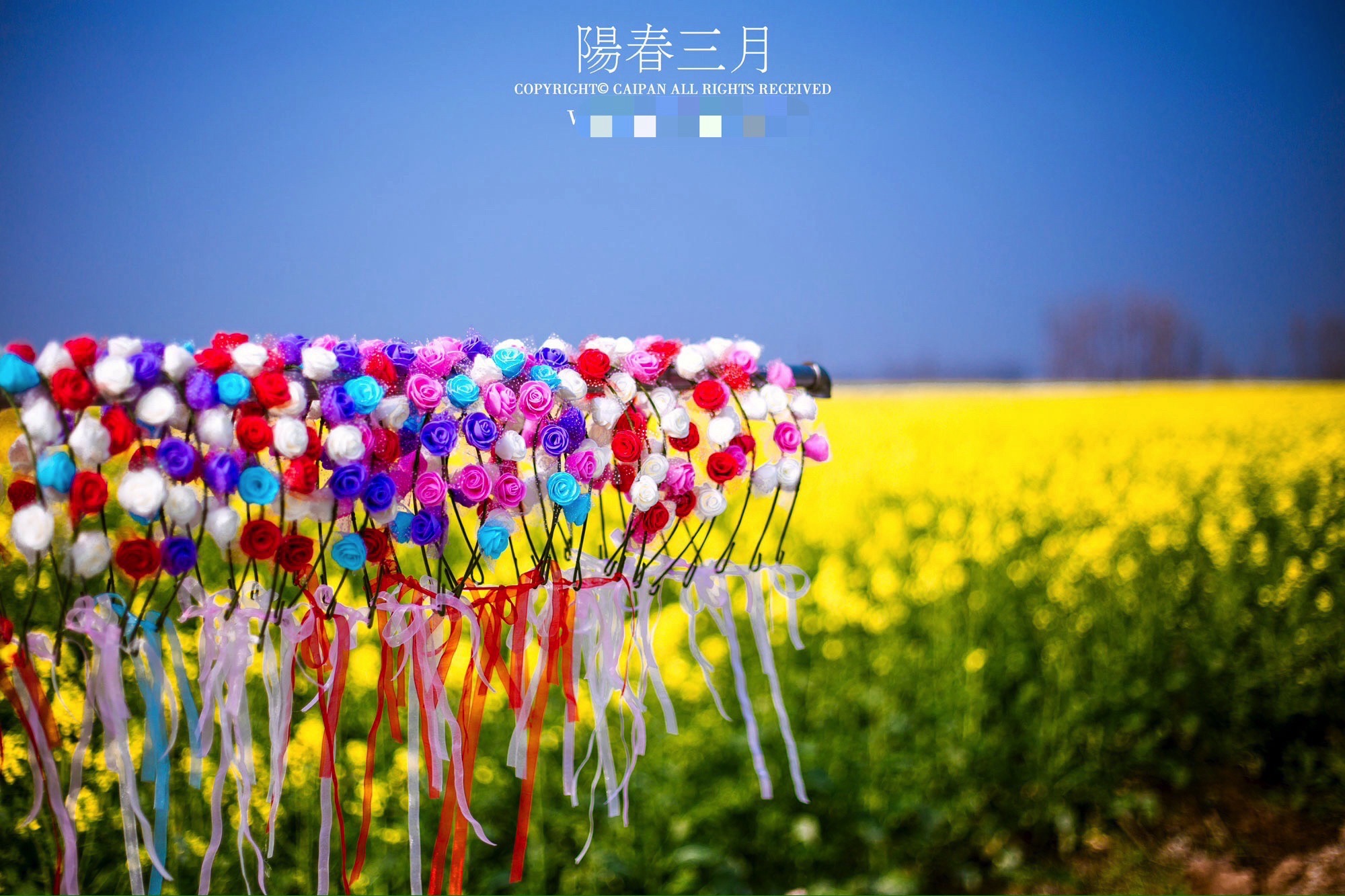 鸟儿洲国家湿地公园旅行图片 3