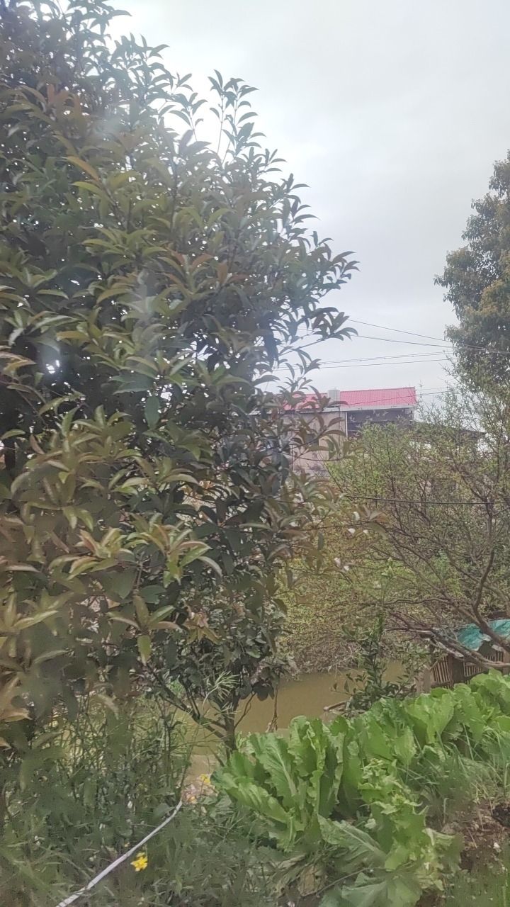 鸟儿洲国家湿地公园旅行图片 3