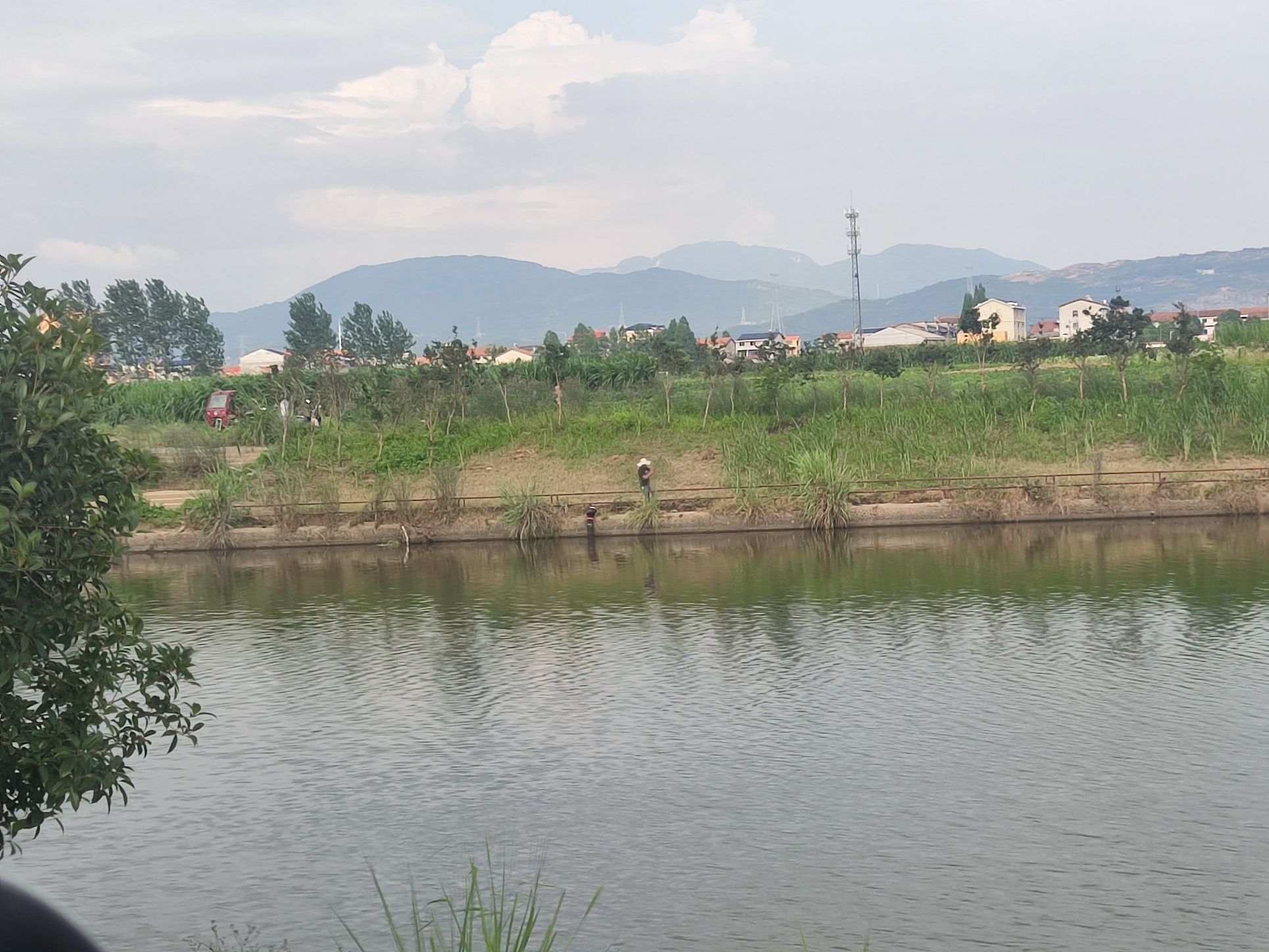 岳阳市香河湾生态公园旅行图片 1