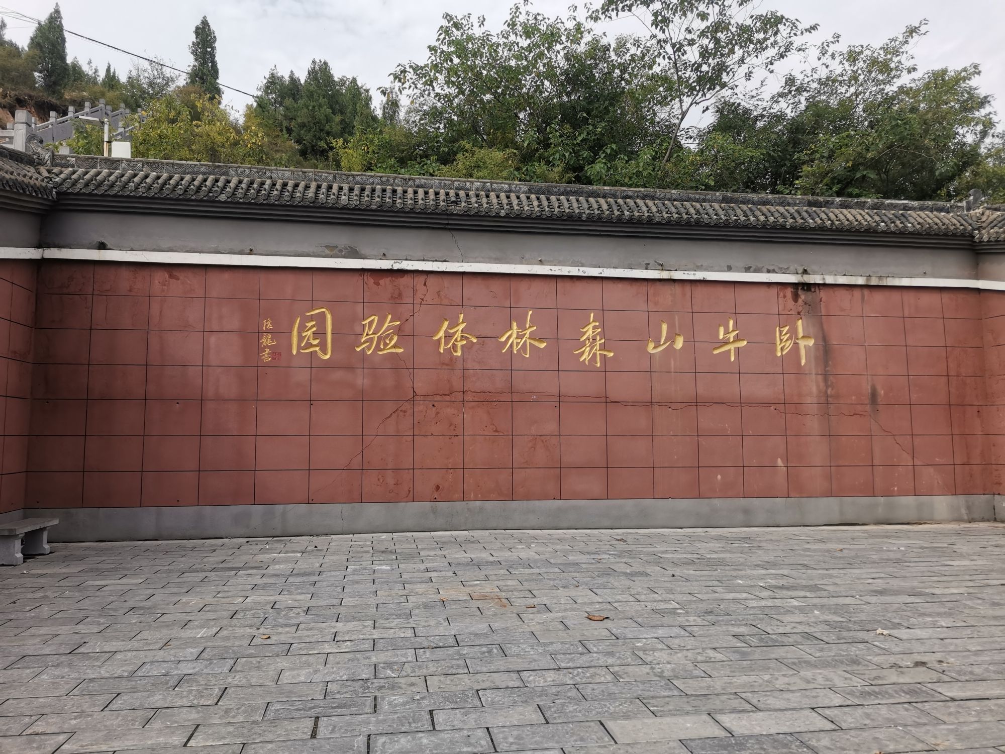 卧牛山森林体验园旅行图片 3