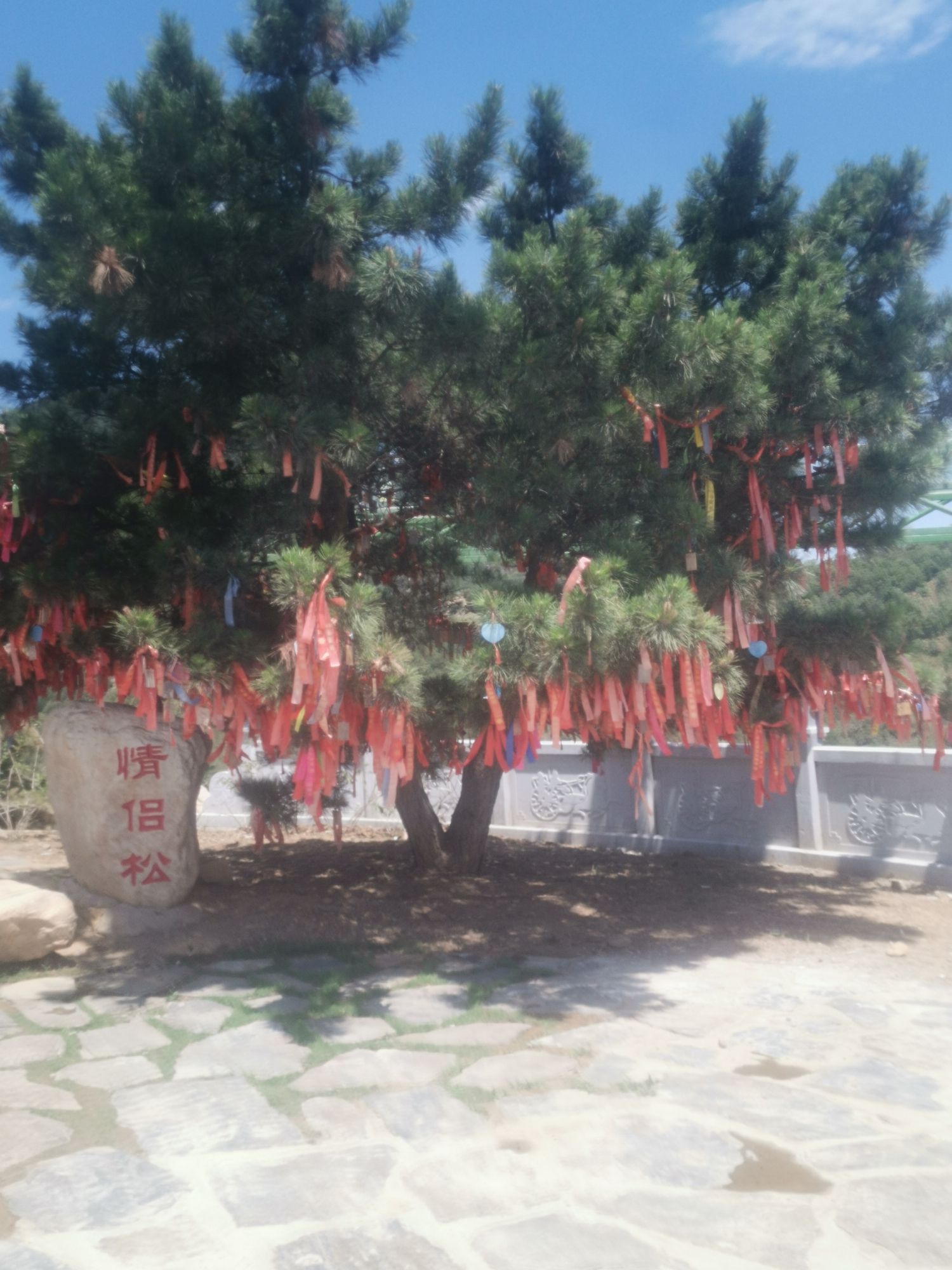车神架风景区旅行图片 1