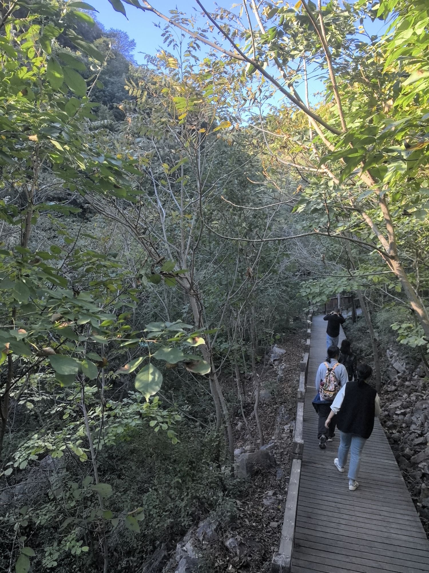 车神架风景区旅行图片 1