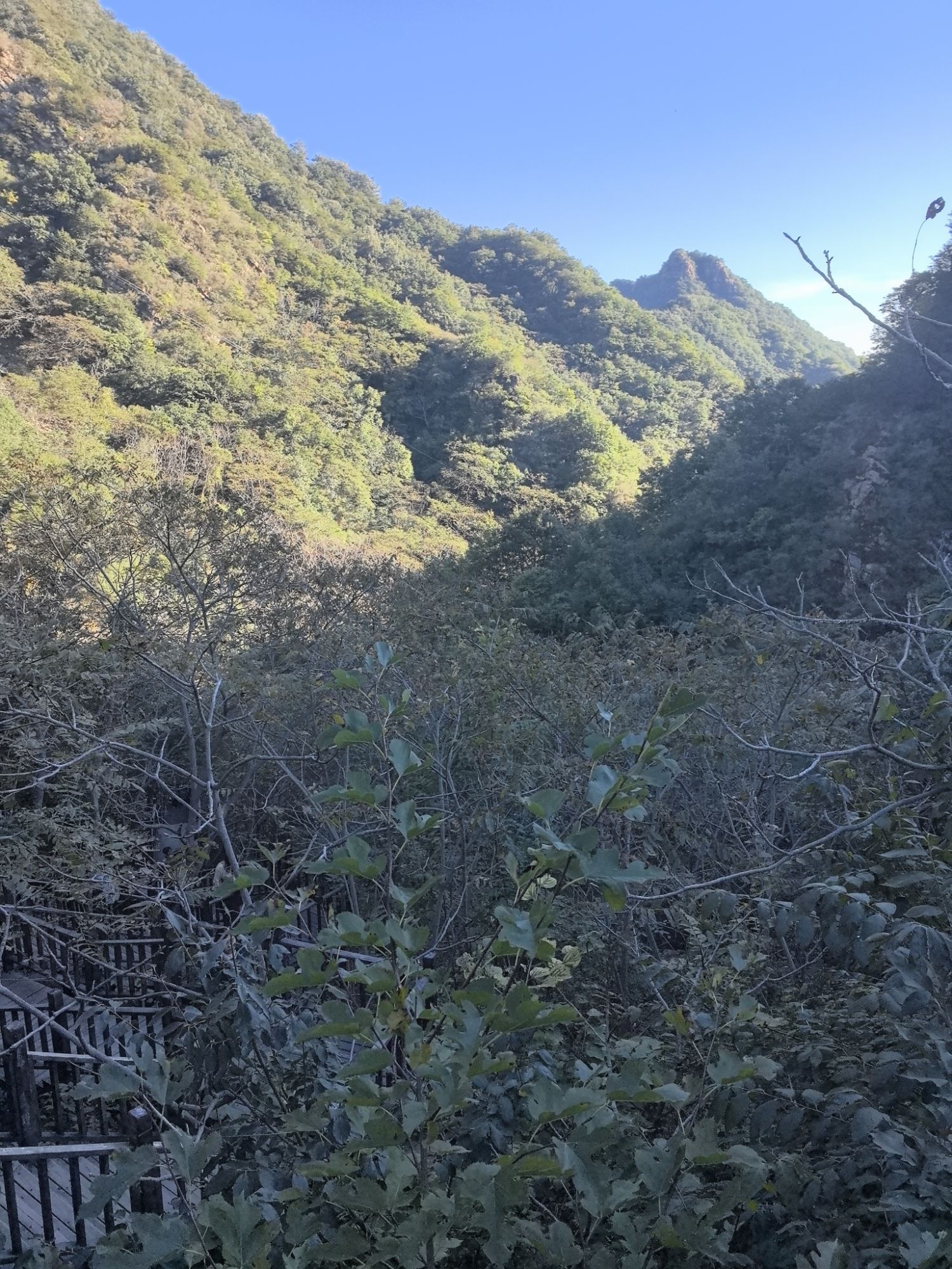 车神架风景区旅行图片 2