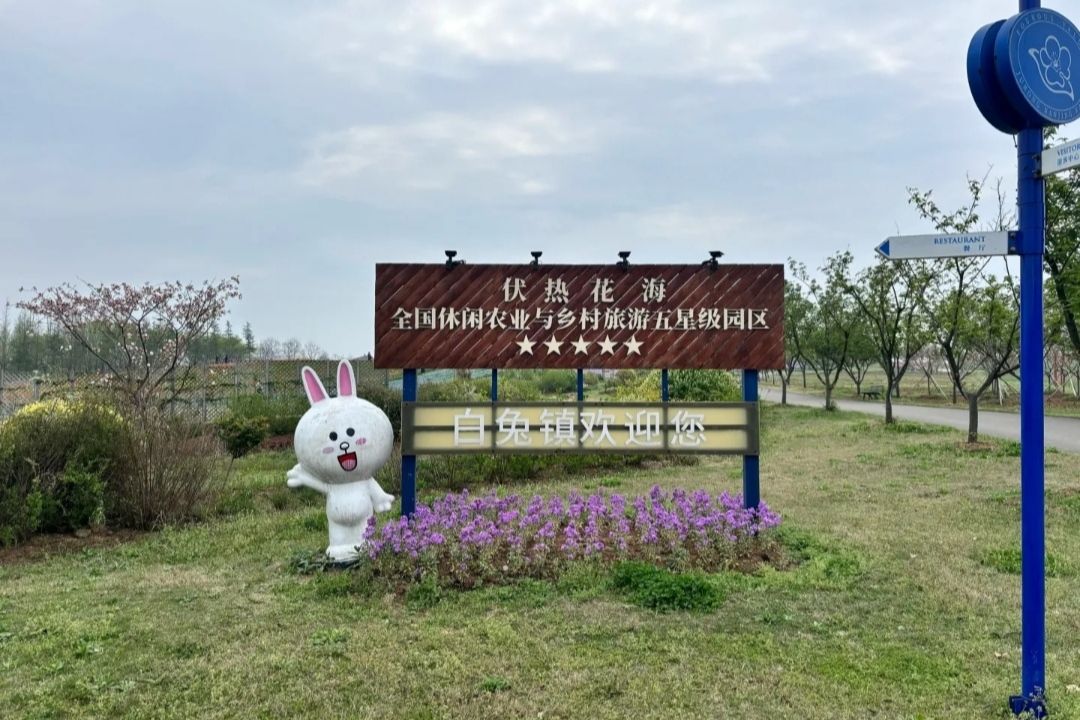 伏热花海庄园旅行图片 1