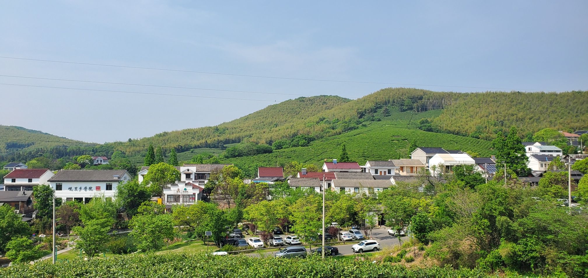 黄龙岘金陵茶文化旅游村旅行图片 1