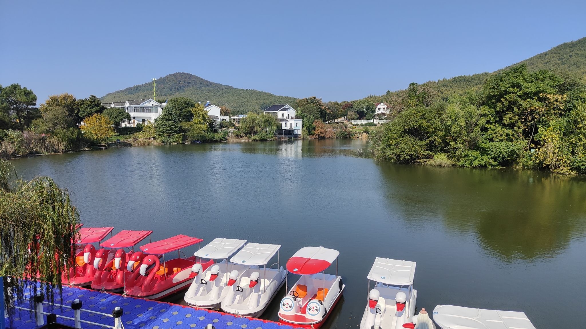 黄龙岘金陵茶文化旅游村旅行图片 2