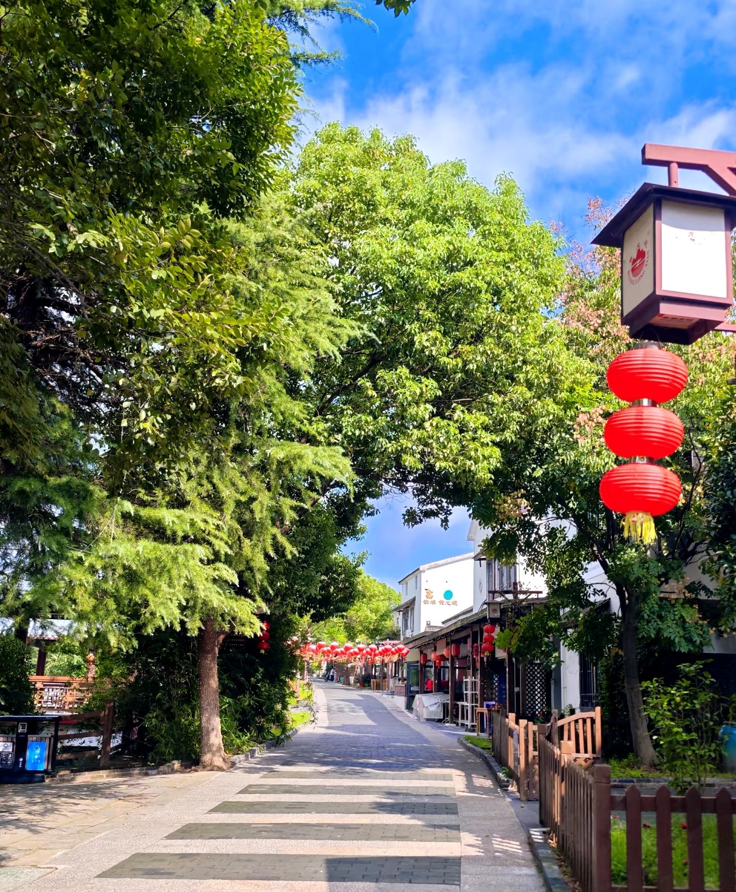 黄龙岘金陵茶文化旅游村旅行图片 2