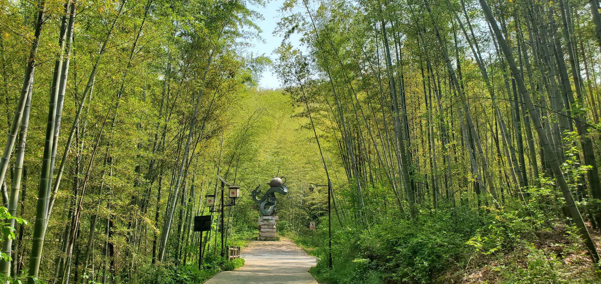 黄龙岘金陵茶文化旅游村旅行图片 3