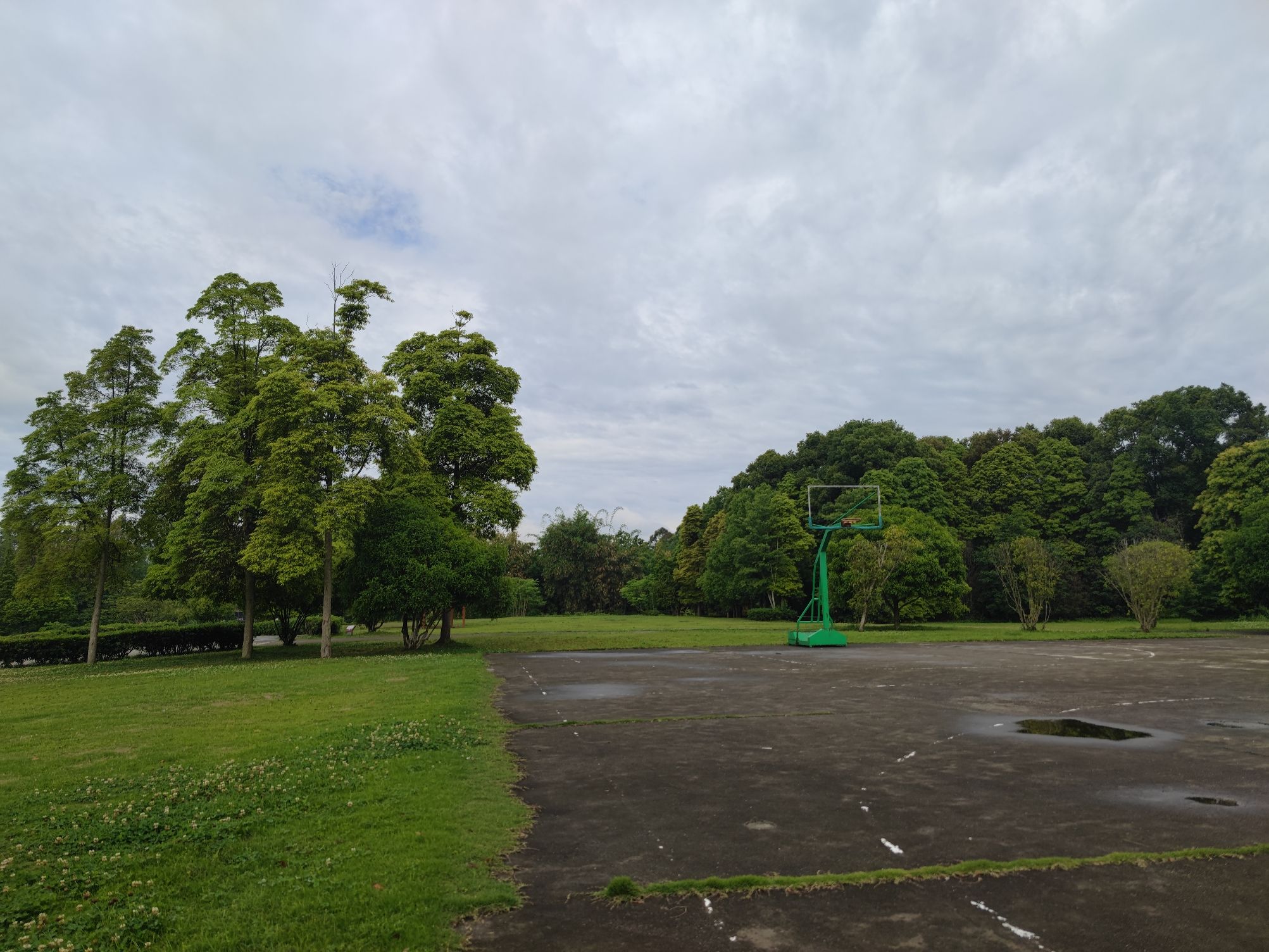 场地封面-新津斑竹林公园-篮球场