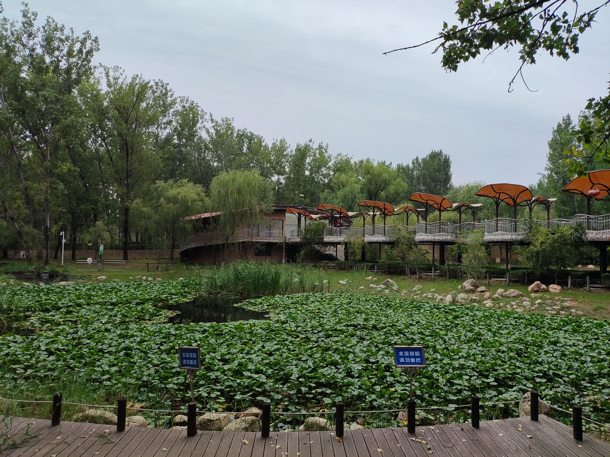 西纸坊·黄河古村旅行图片 3