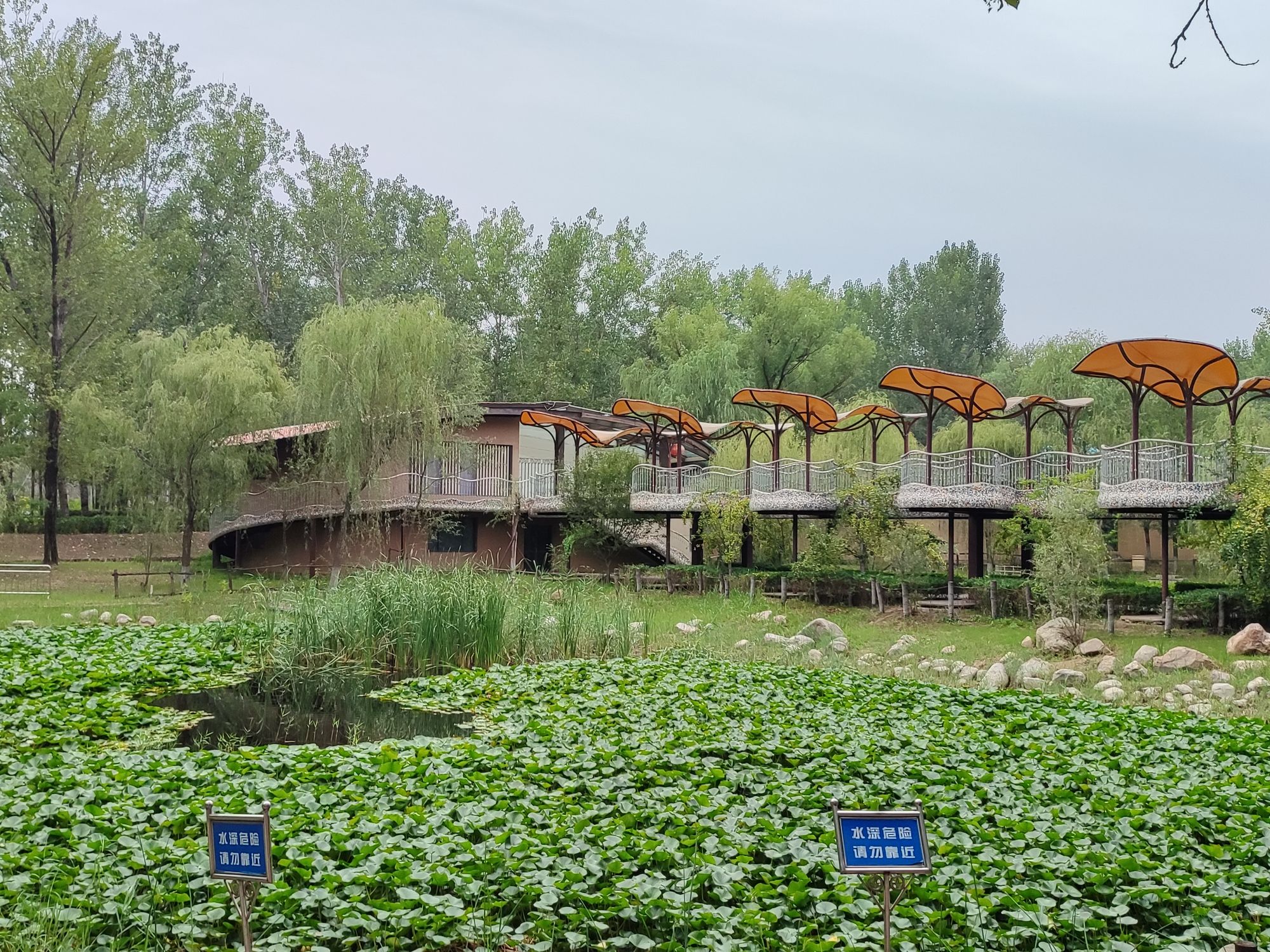 西纸坊·黄河古村旅行图片 2