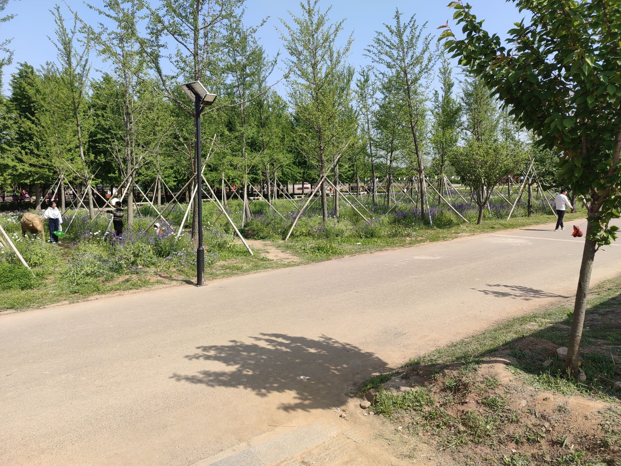 赛石·沂水花朝园旅行图片 1