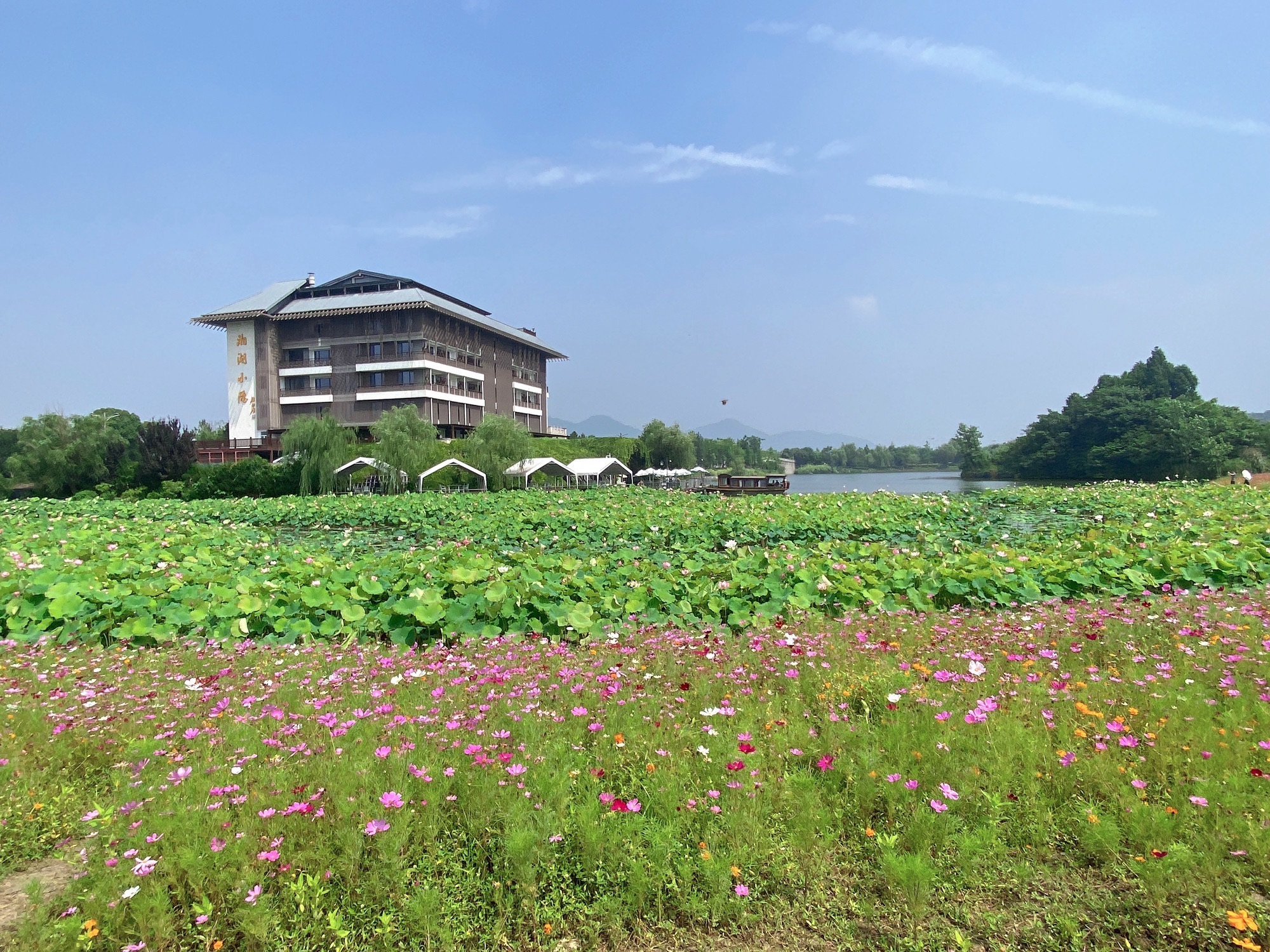 湘湖旅游度假区湘湖花海香田