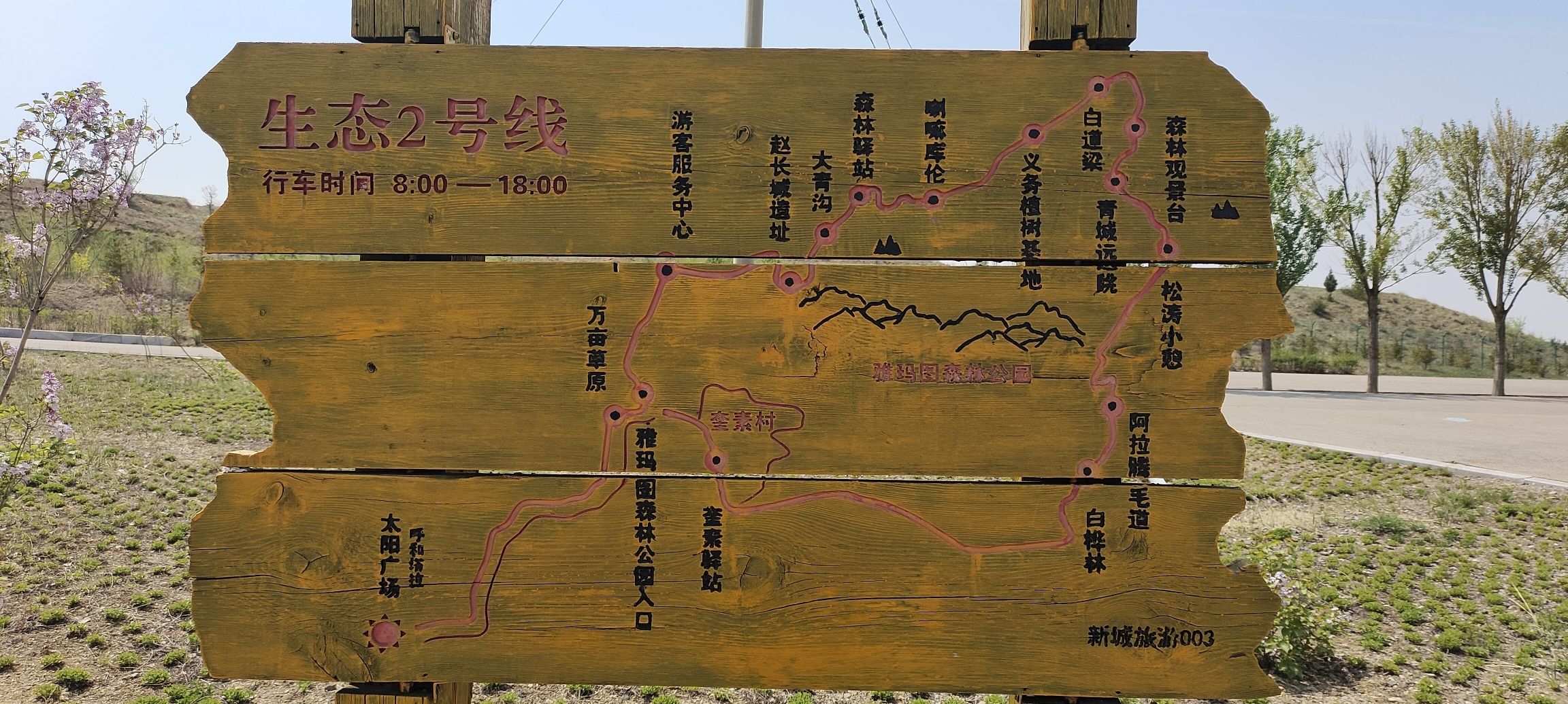 五万亩森林公园旅行图片 2