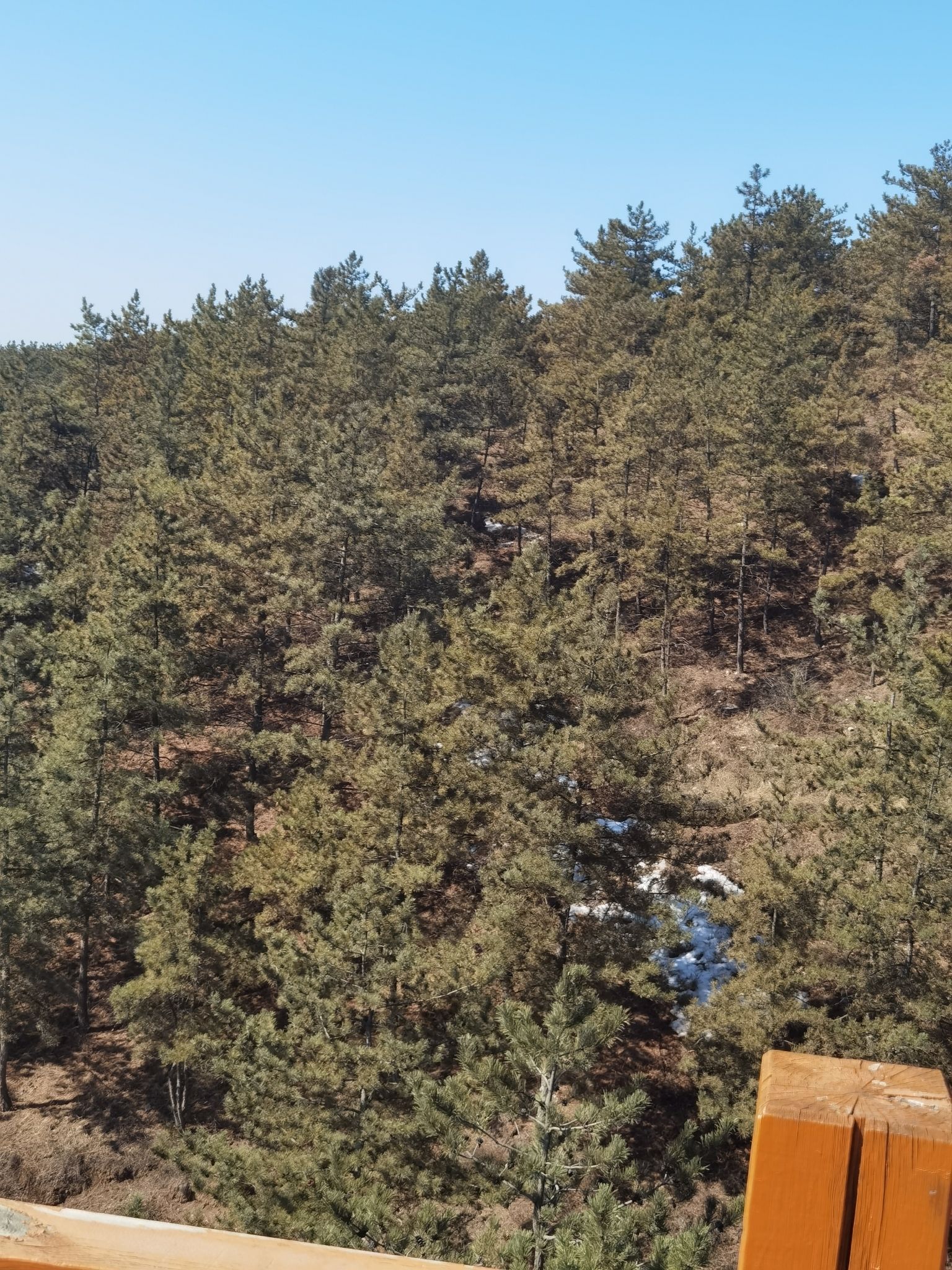 五万亩森林公园旅行图片 2