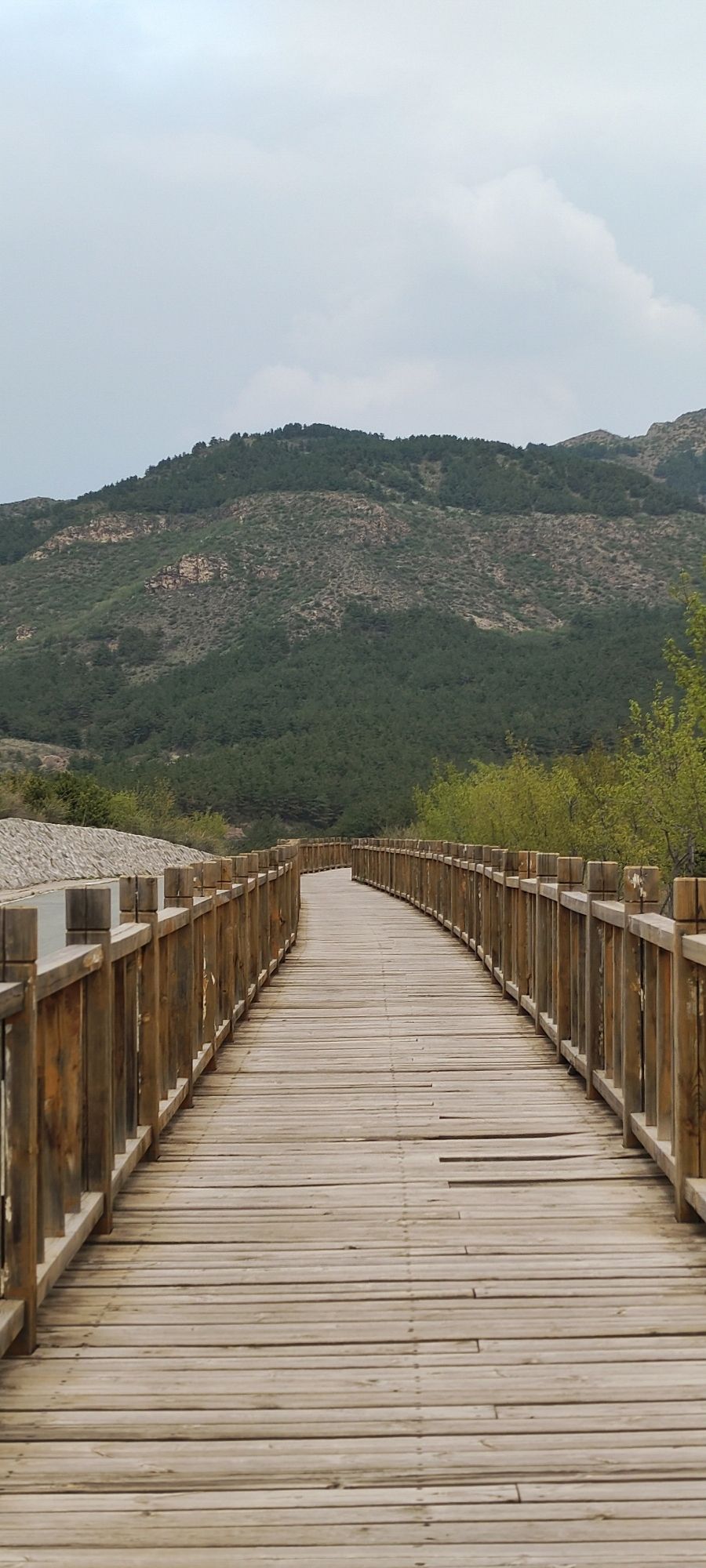 五万亩森林公园旅行图片 3