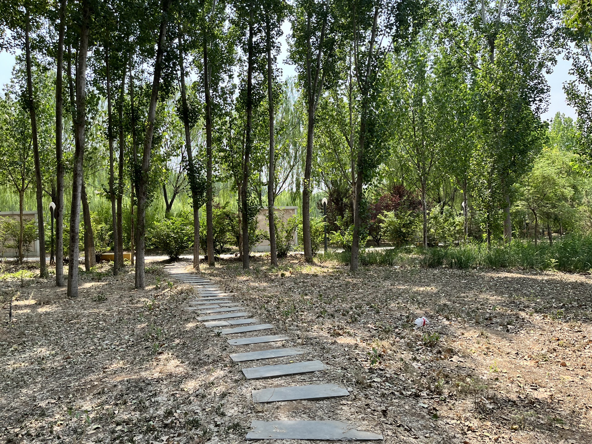 惠和公园旅行图片 2