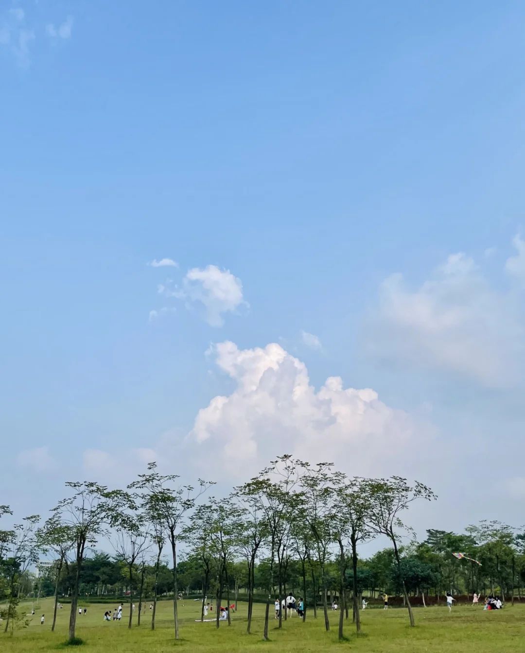 蝶采园旅行图片 1