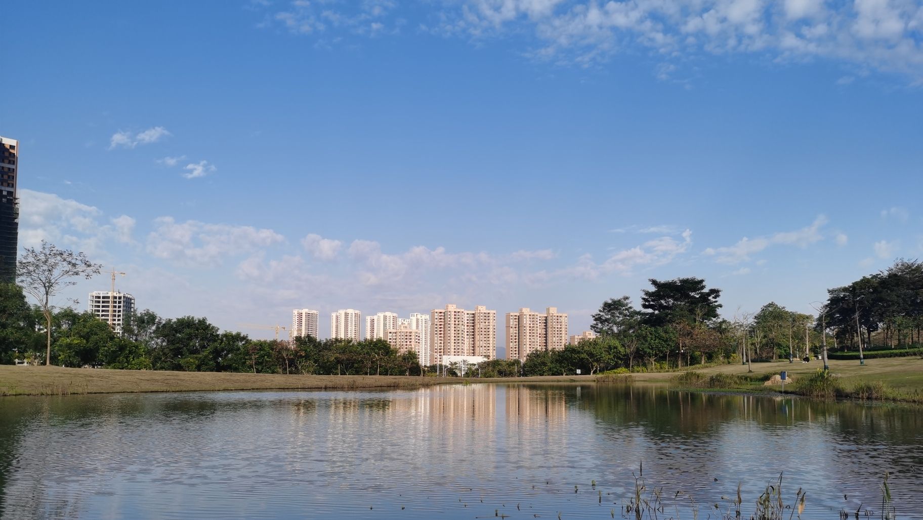 蝶采园旅行图片 1