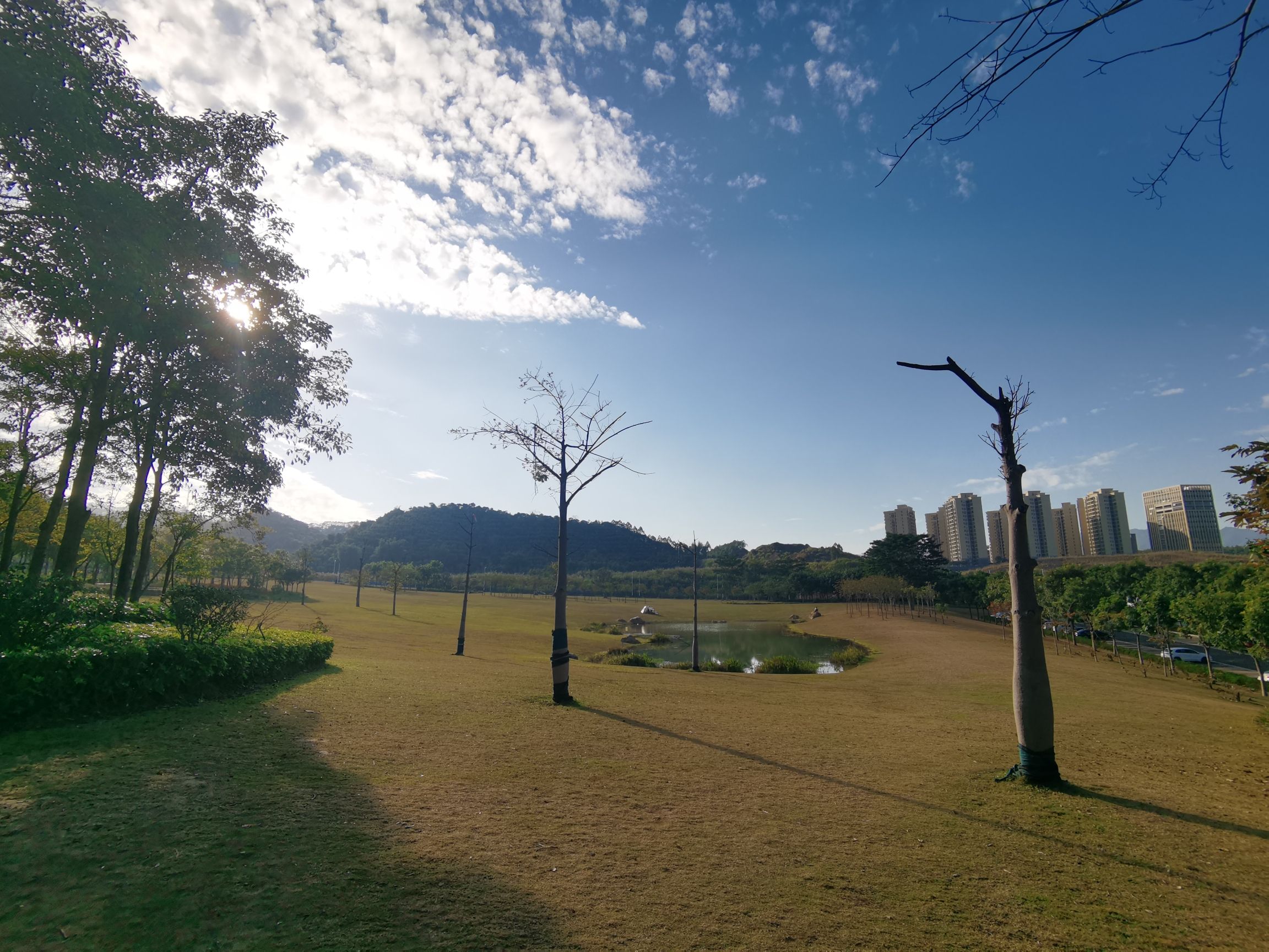 蝶采园旅行图片 2