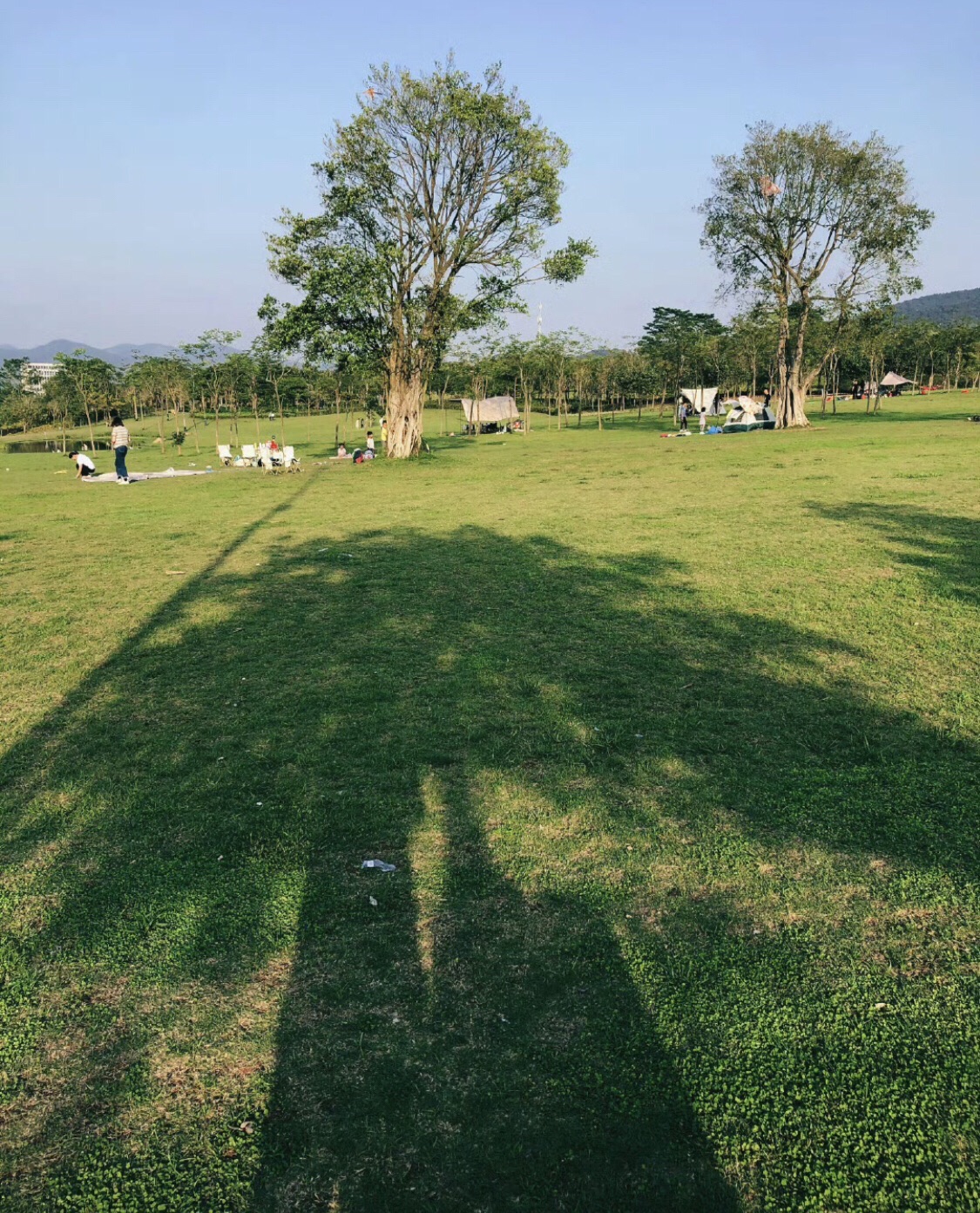 蝶采园旅行图片 2
