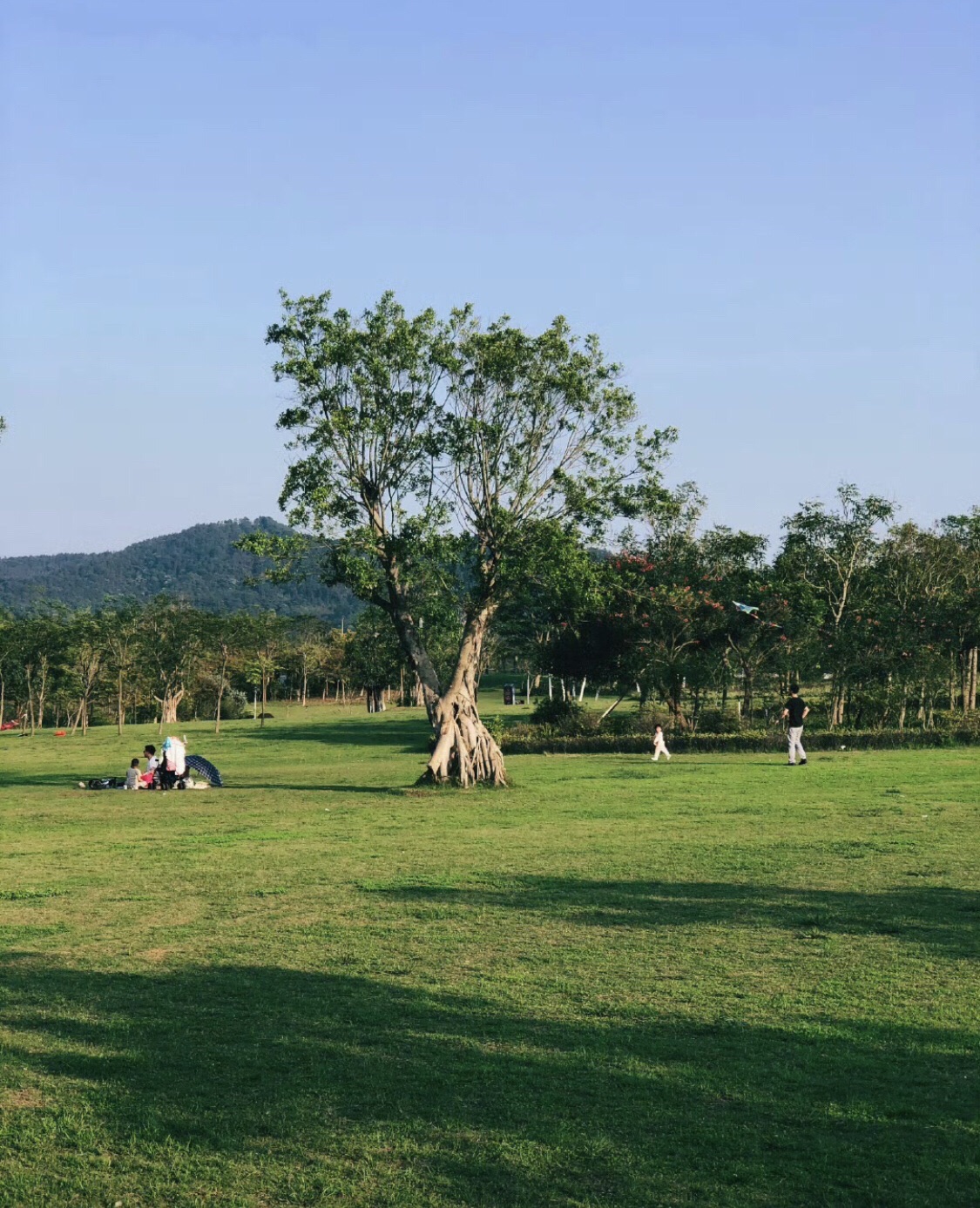 蝶采园旅行图片 1