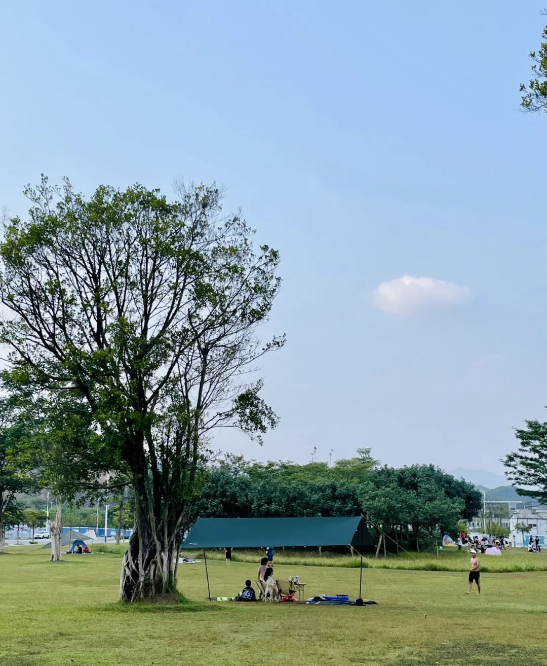 蝶采园旅行图片 2