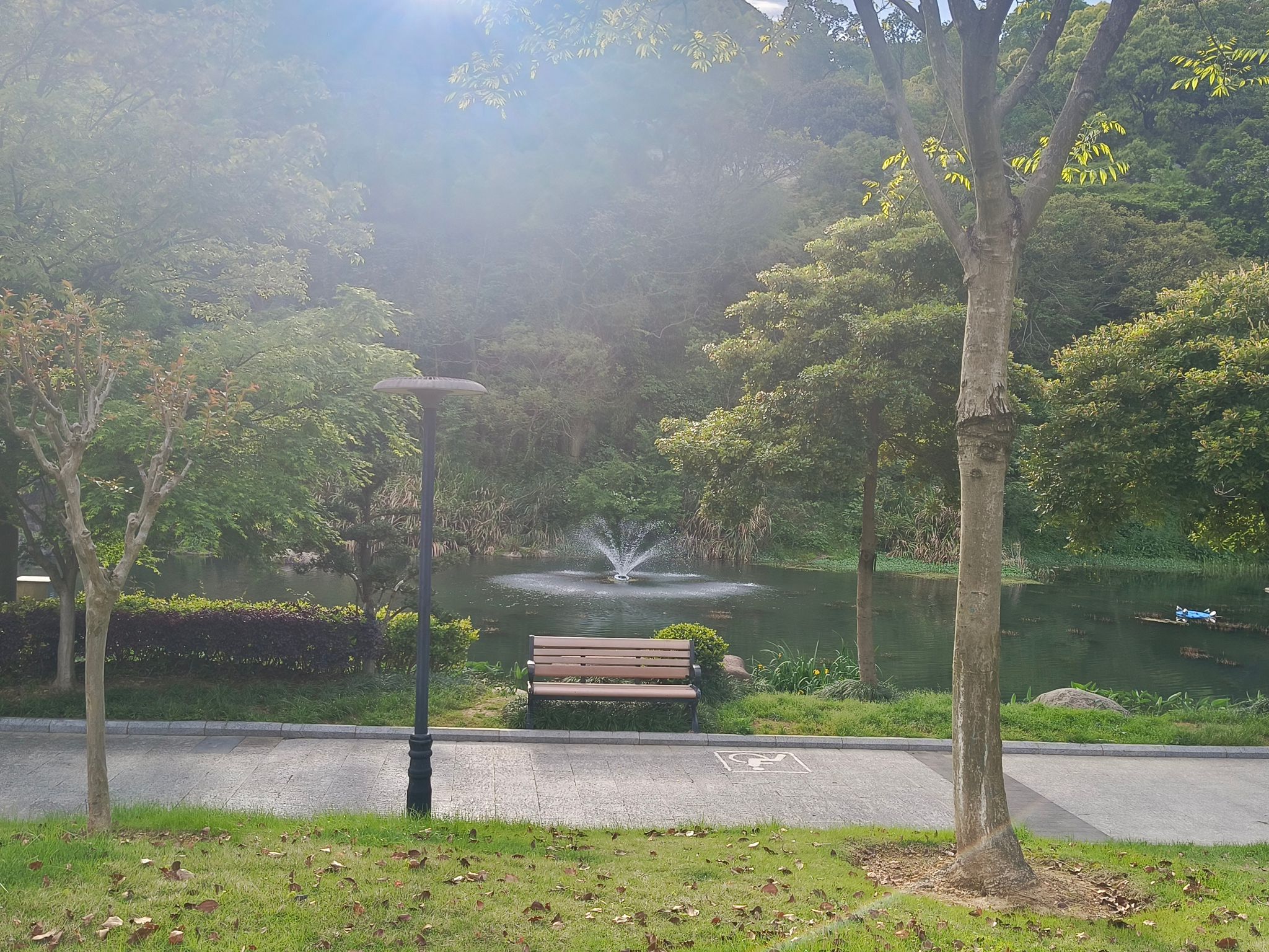 武岭湿地公园旅行图片 1